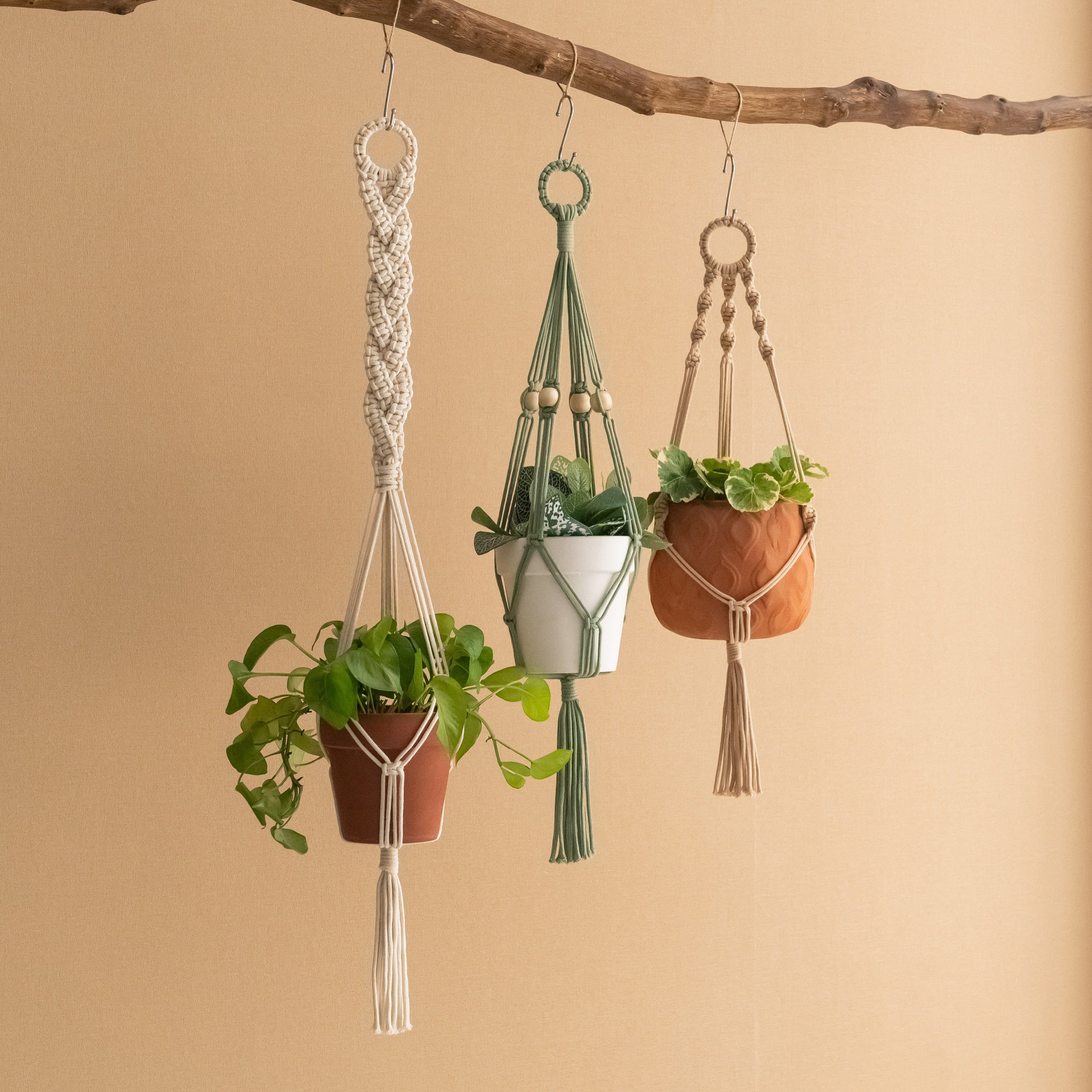 Macrame Hanging Plant Holder - Boho Wall Decor Cotton Rope I87