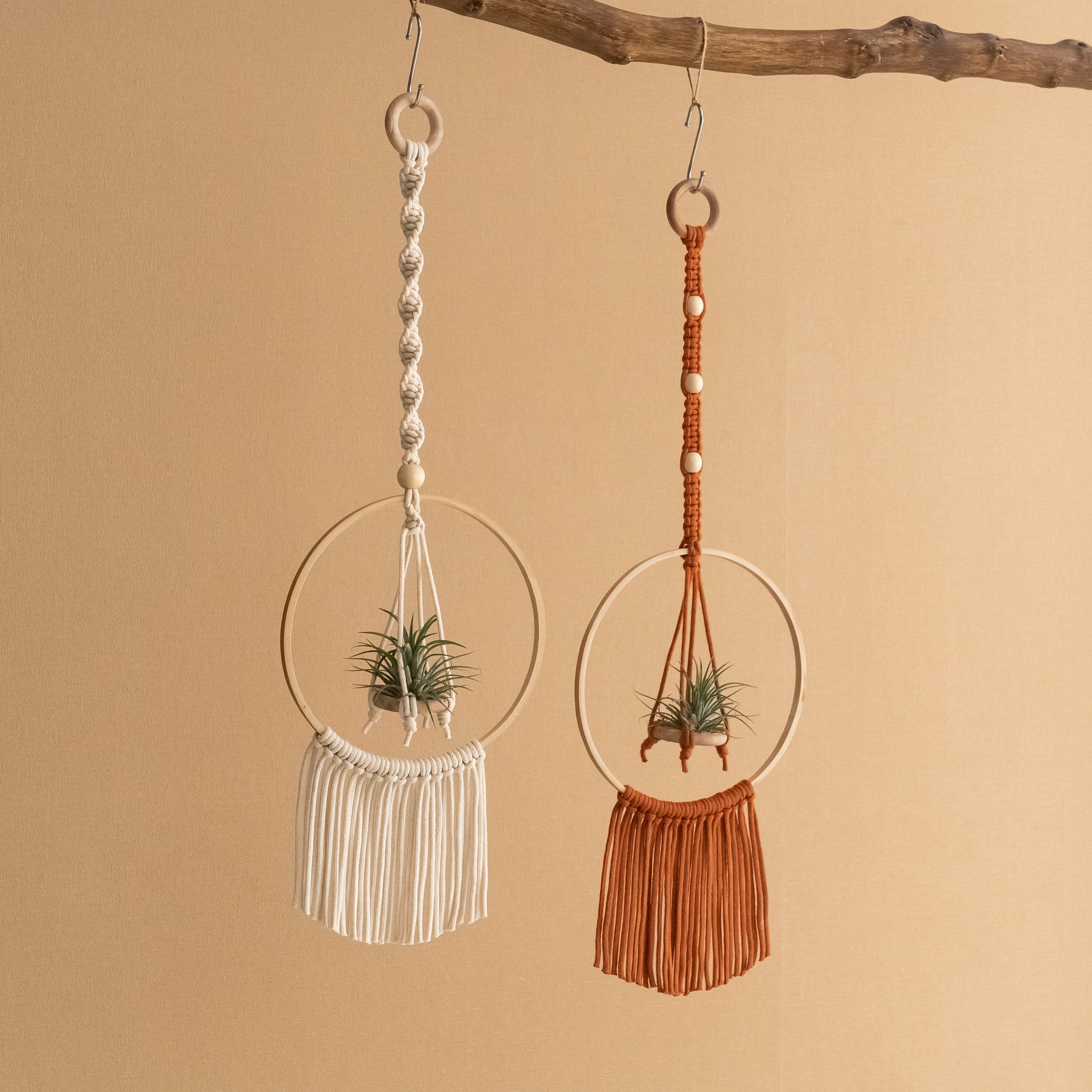 Macrame Air Plant Hanger - Cotton Cord Boho Wall Hanging Décor I88
