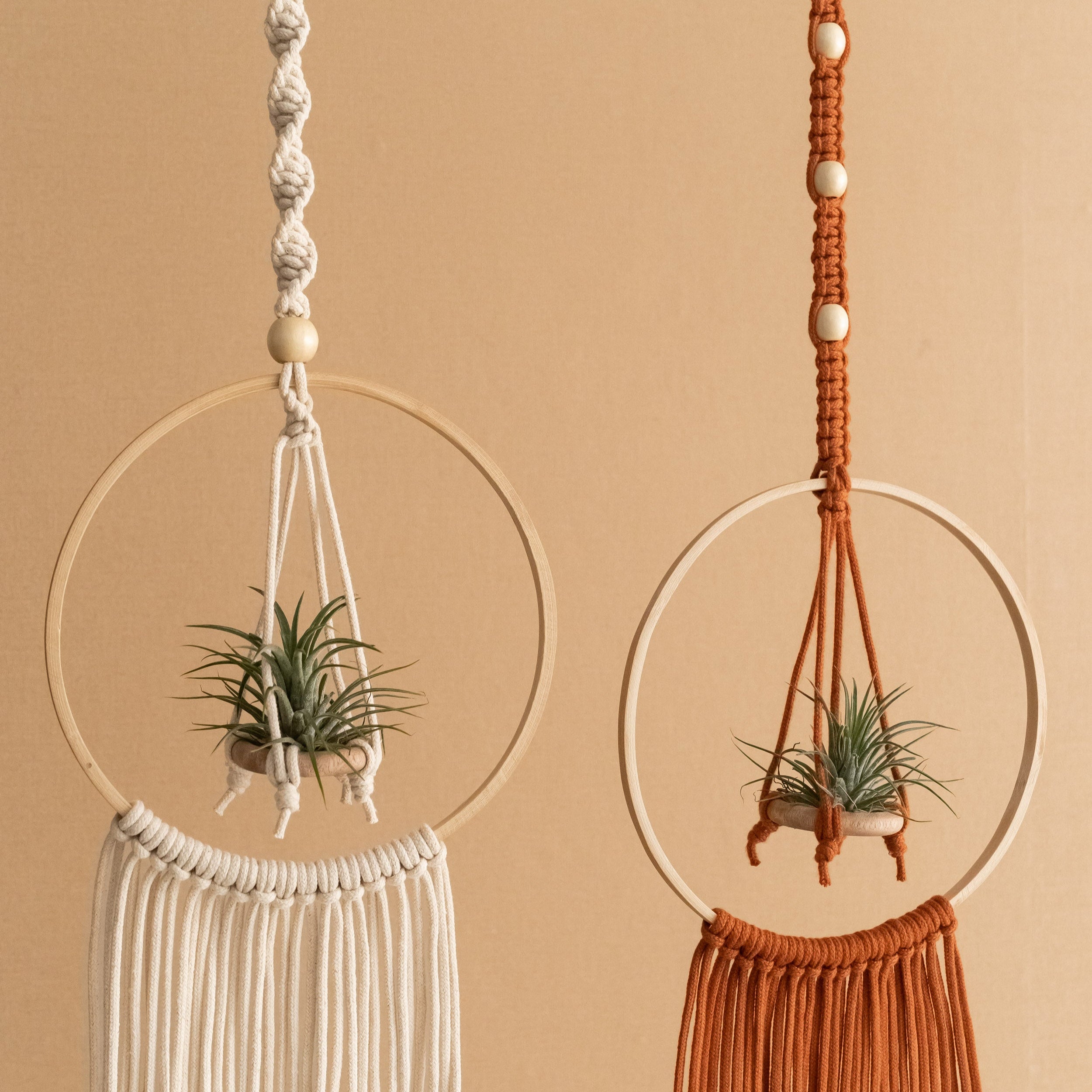 Macrame Air Plant Hanger - Cotton Cord Boho Wall Hanging Décor I88