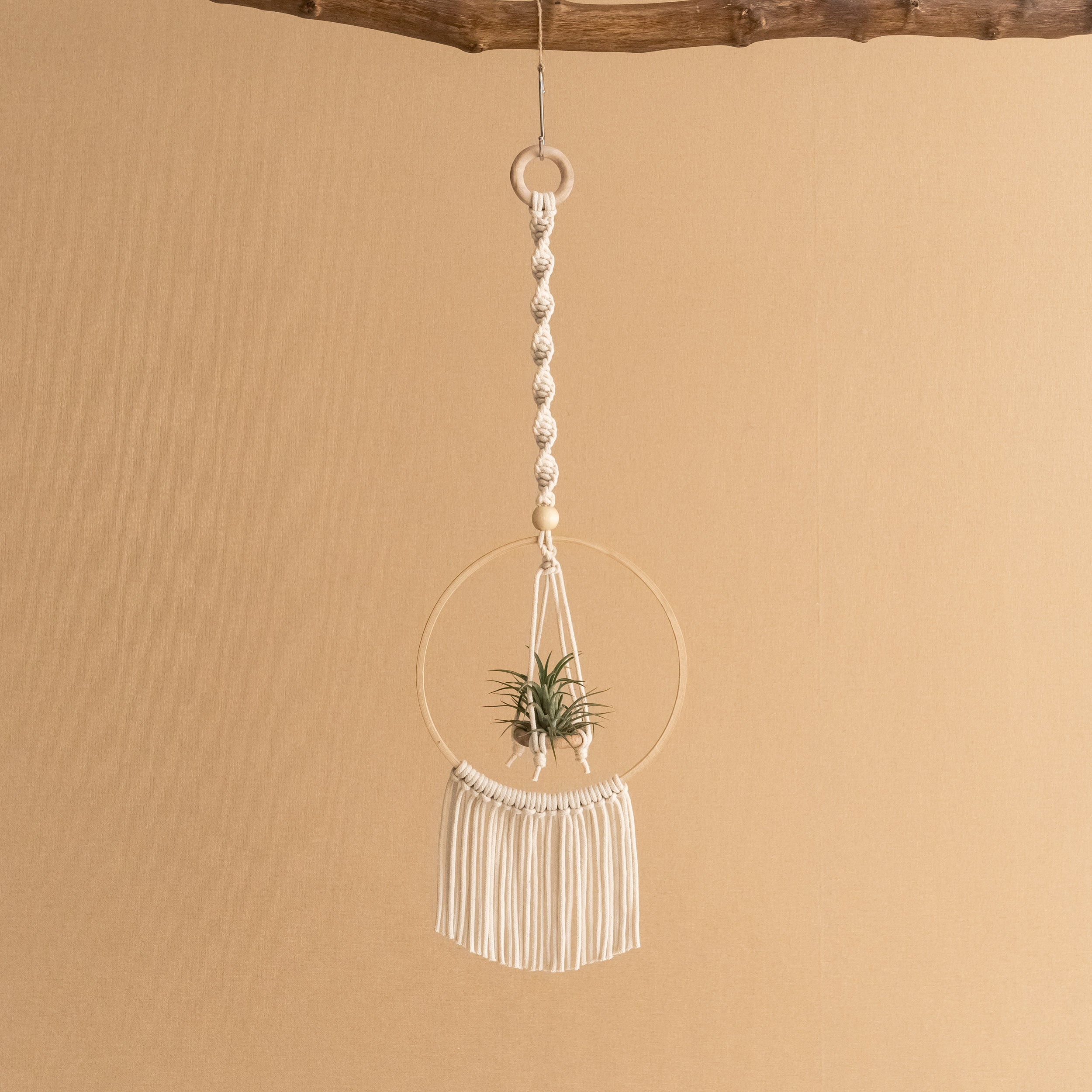 Macrame Air Plant Hanger - Cotton Cord Boho Wall Hanging Décor I88