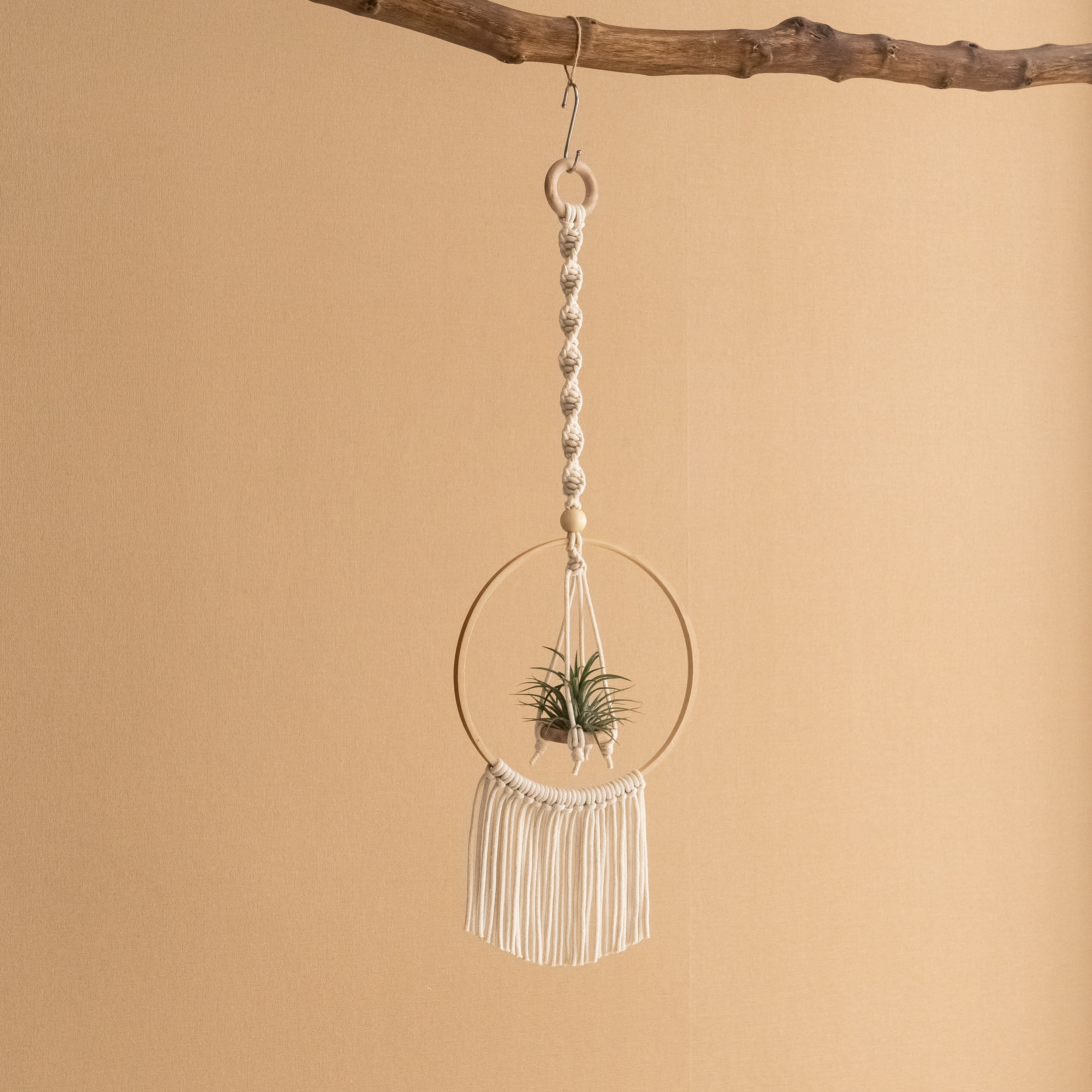 Macrame Air Plant Hanger - Cotton Cord Boho Wall Hanging Décor I88