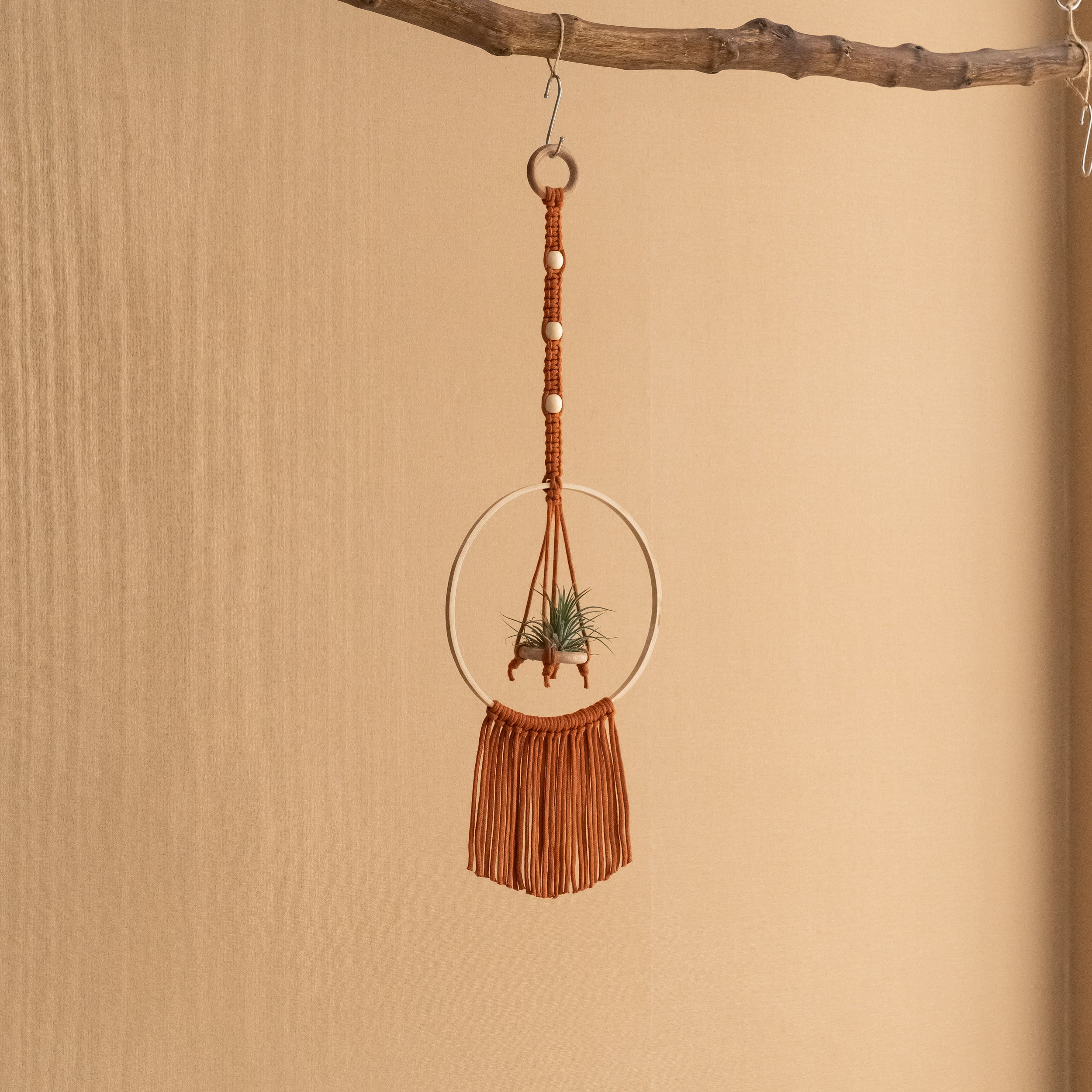 Macrame Air Plant Hanger - Cotton Cord Boho Wall Hanging Décor I88