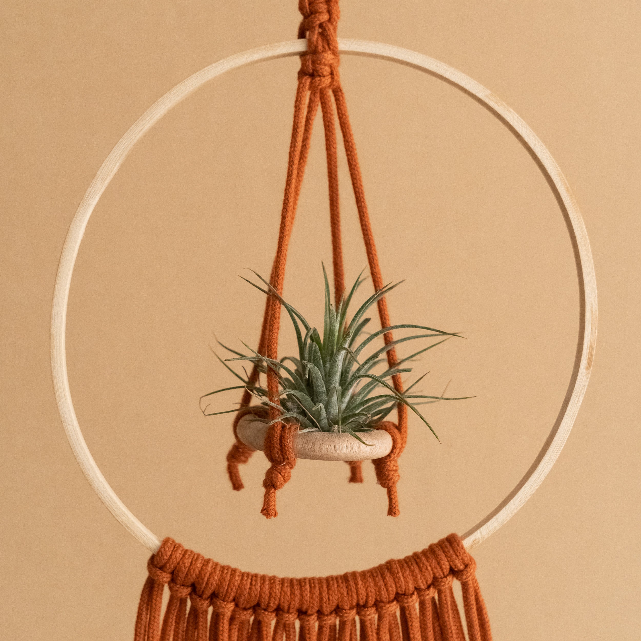 Macrame Air Plant Hanger - Cotton Cord Boho Wall Hanging Décor I88