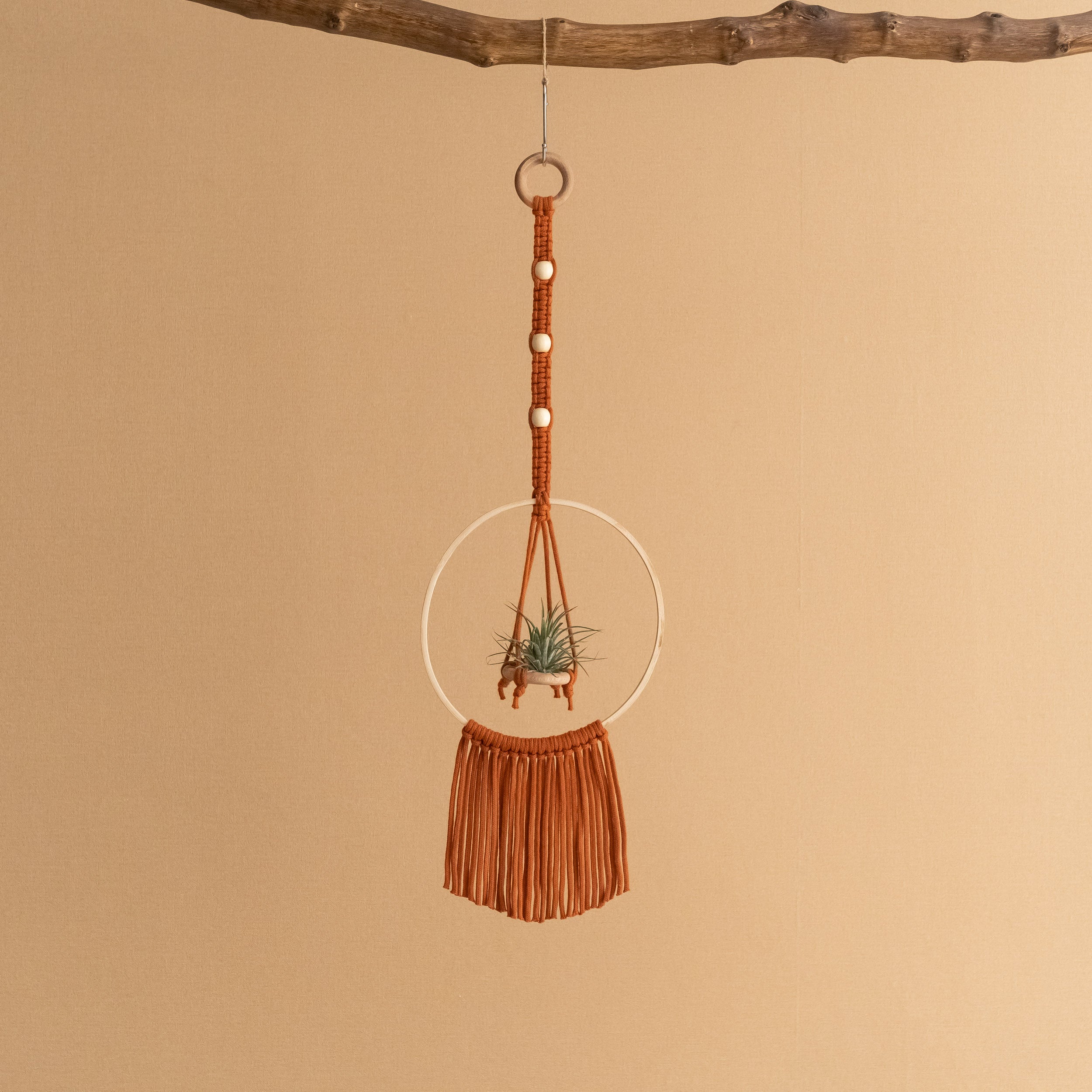 Macrame Air Plant Hanger - Cotton Cord Boho Wall Hanging Décor I88