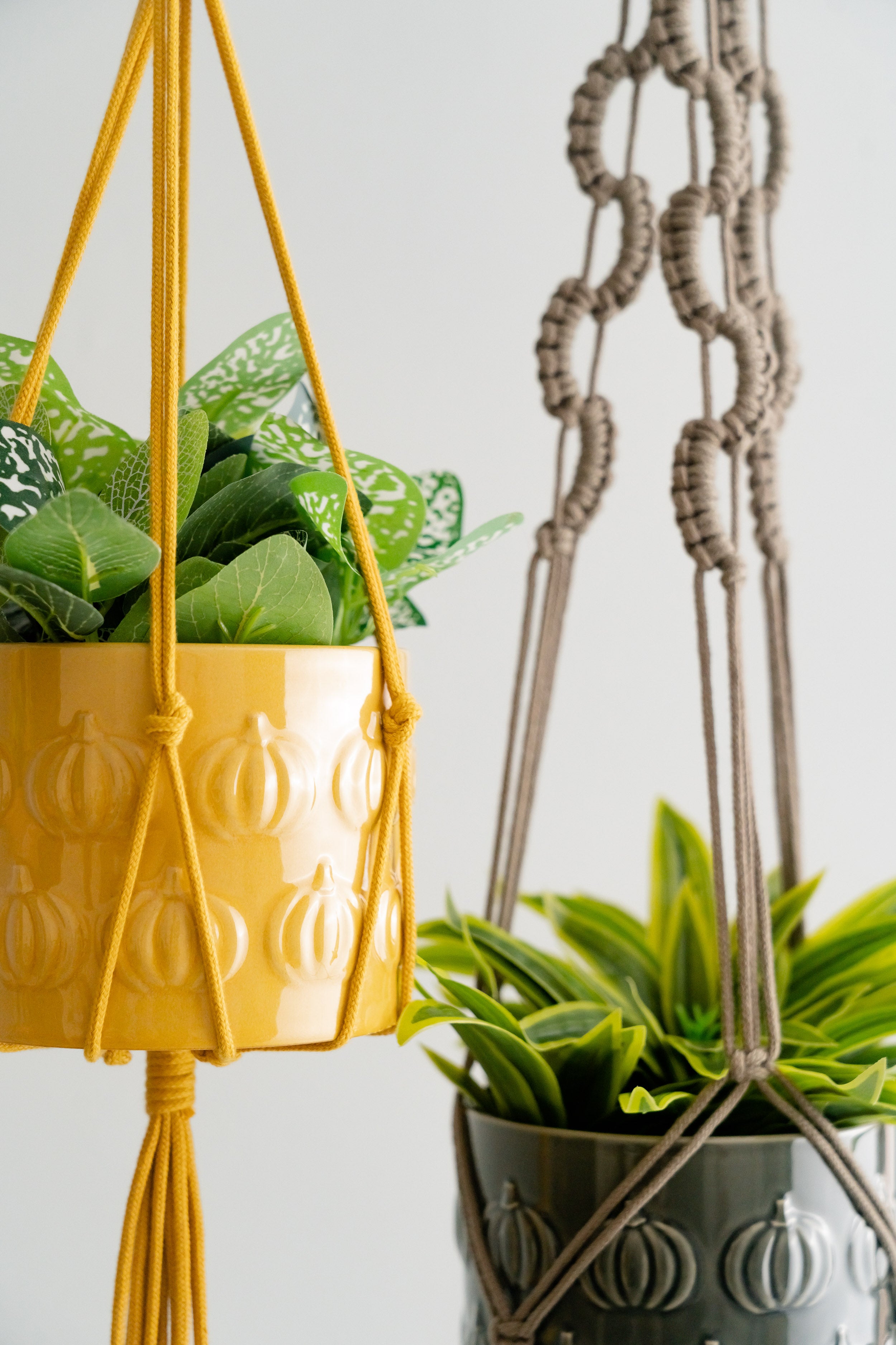Macrame Plant Hanger with Tail – Cotton Boho Long Tassel Planter I48