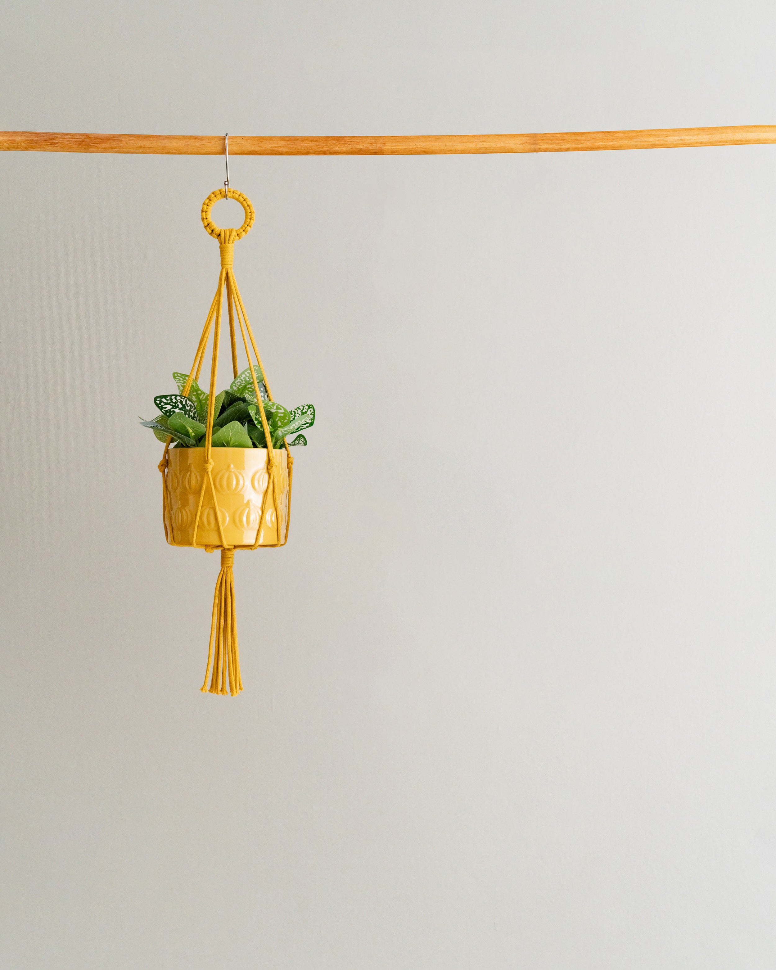 Macrame Plant Hanger with Tail – Cotton Boho Long Tassel Planter I48