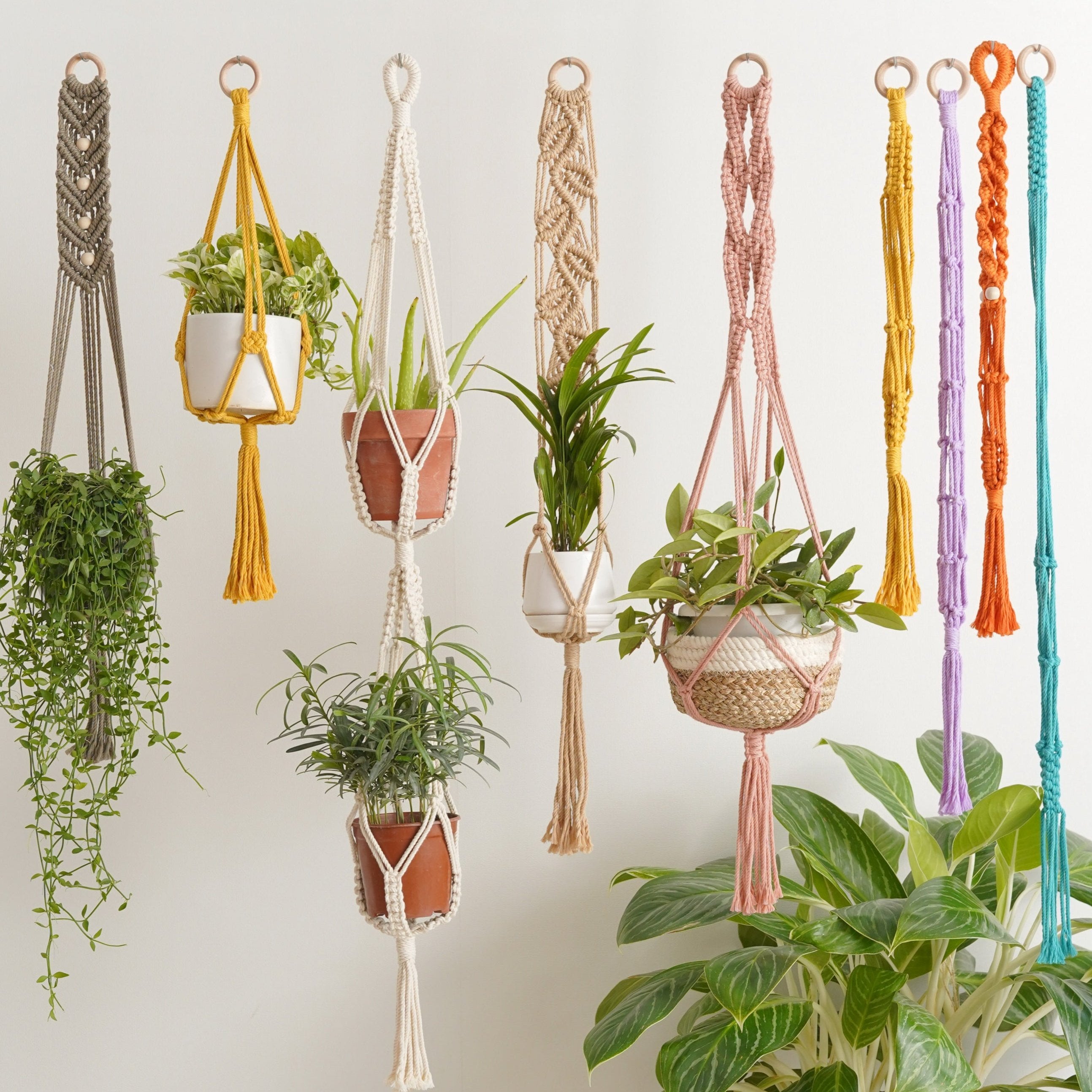 Minimalist Cotton Rope - Macrame Plant Hanger with Tassel Decor H13