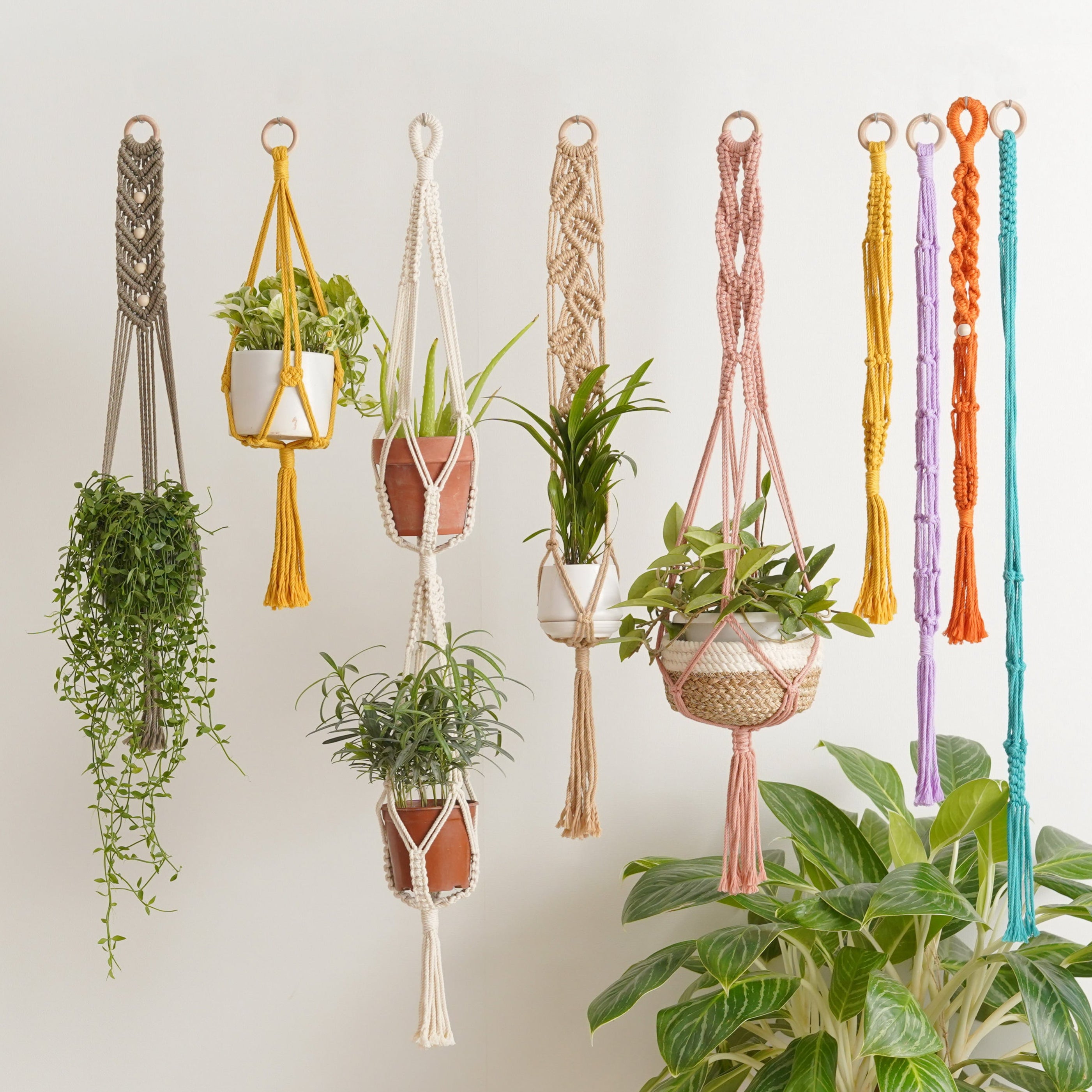 Minimalist Cotton Rope - Macrame Plant Hanger with Tassel Decor H13