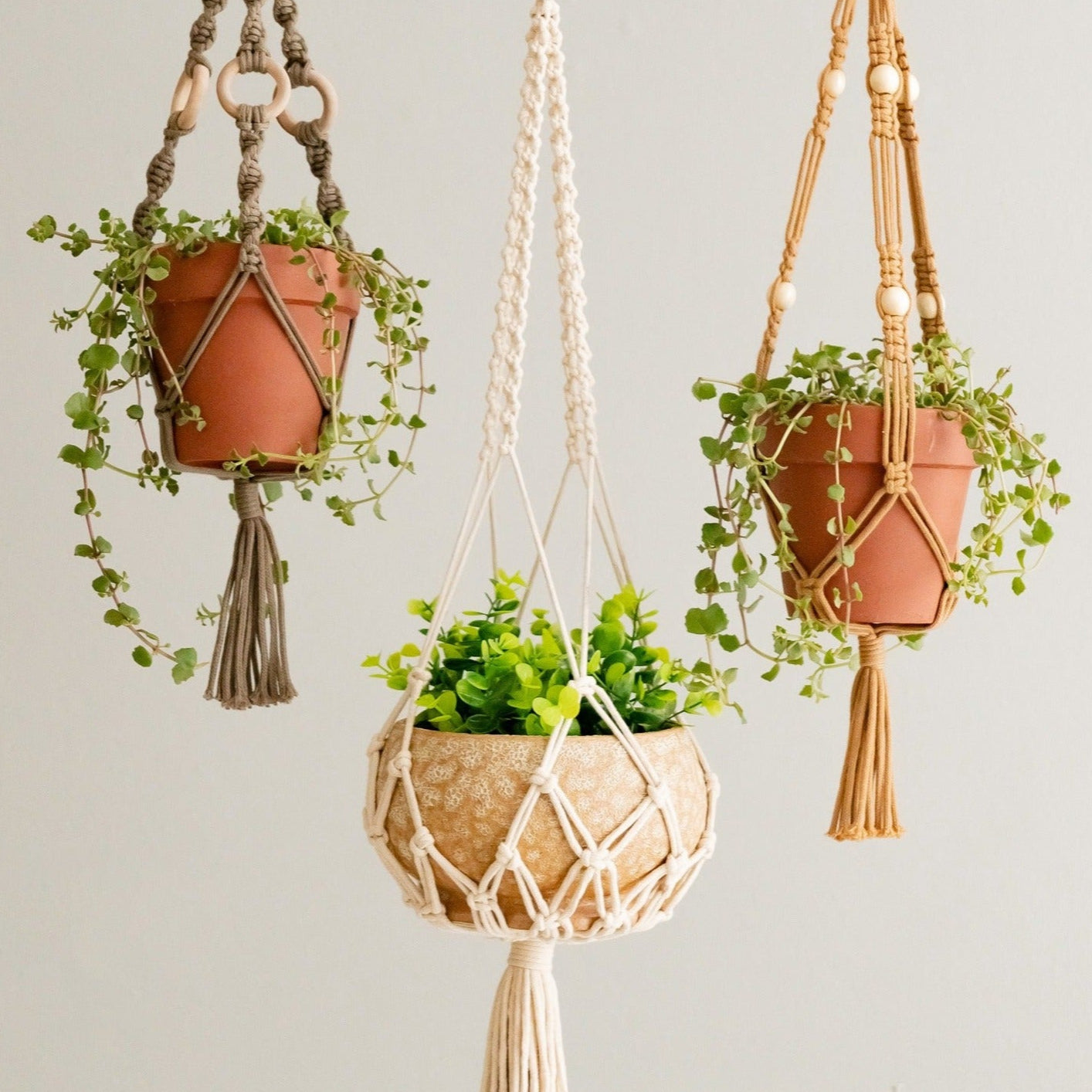 Tail Macrame Plant Hanger – Cotton Rope Long Tassel Holder I68