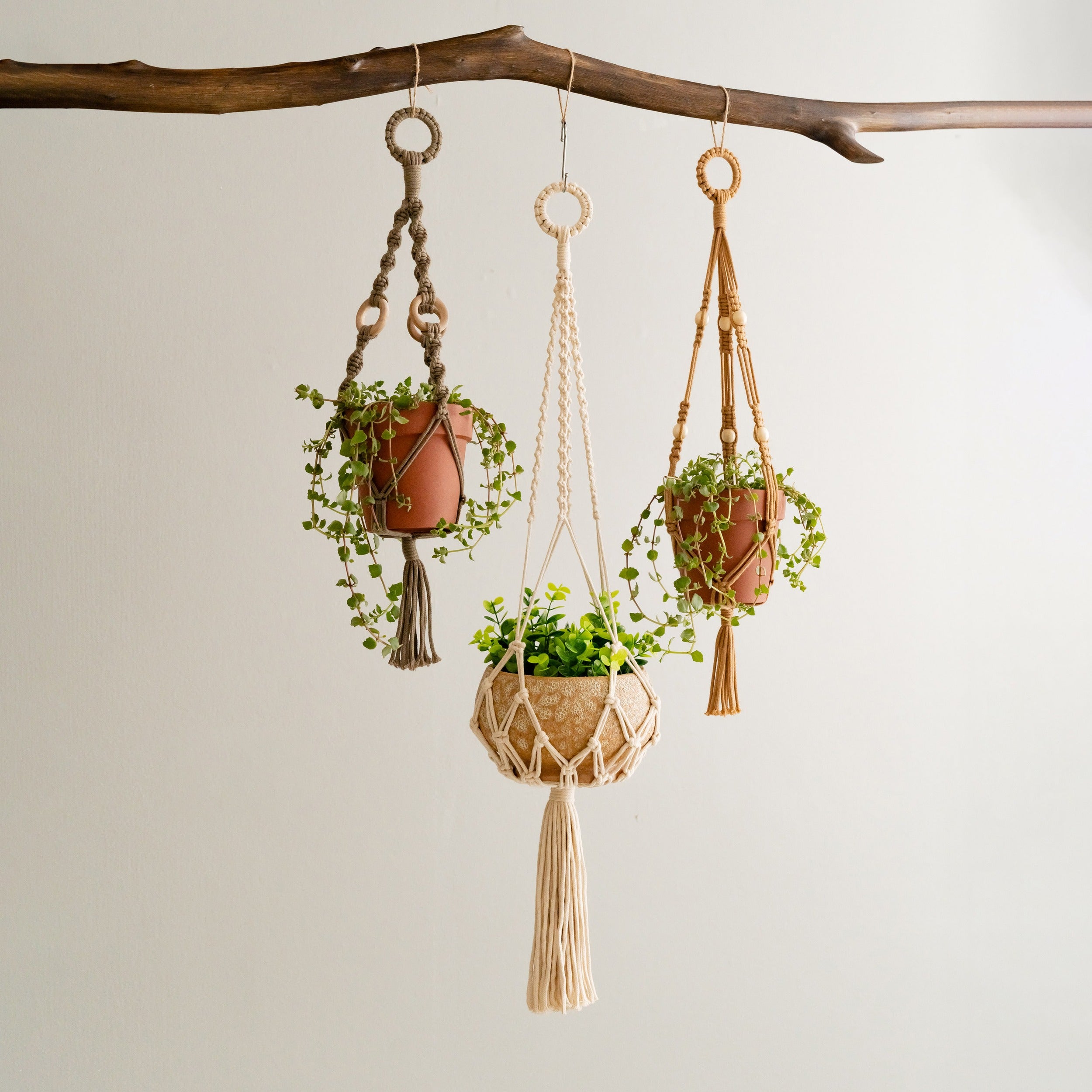 Tail Macrame Plant Hanger – Cotton Rope Long Tassel Holder I68