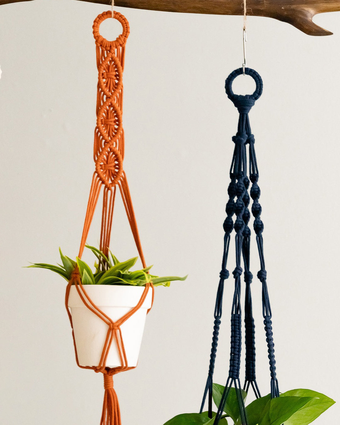 Tail Macrame Plant Hanger – Cotton Rope Long Tassel Holder I68