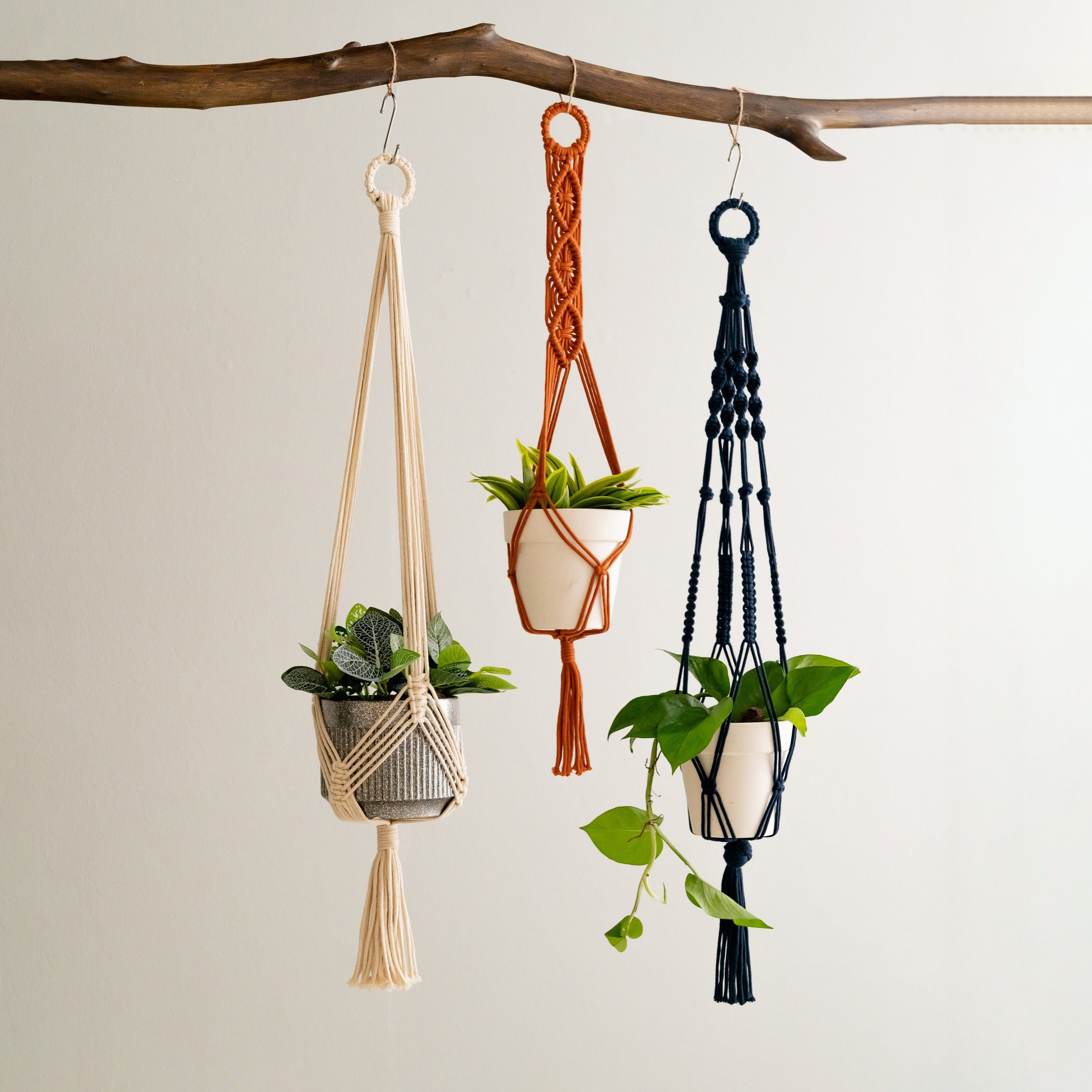 Tail Macrame Plant Hanger – Cotton Rope Long Tassel Holder I68