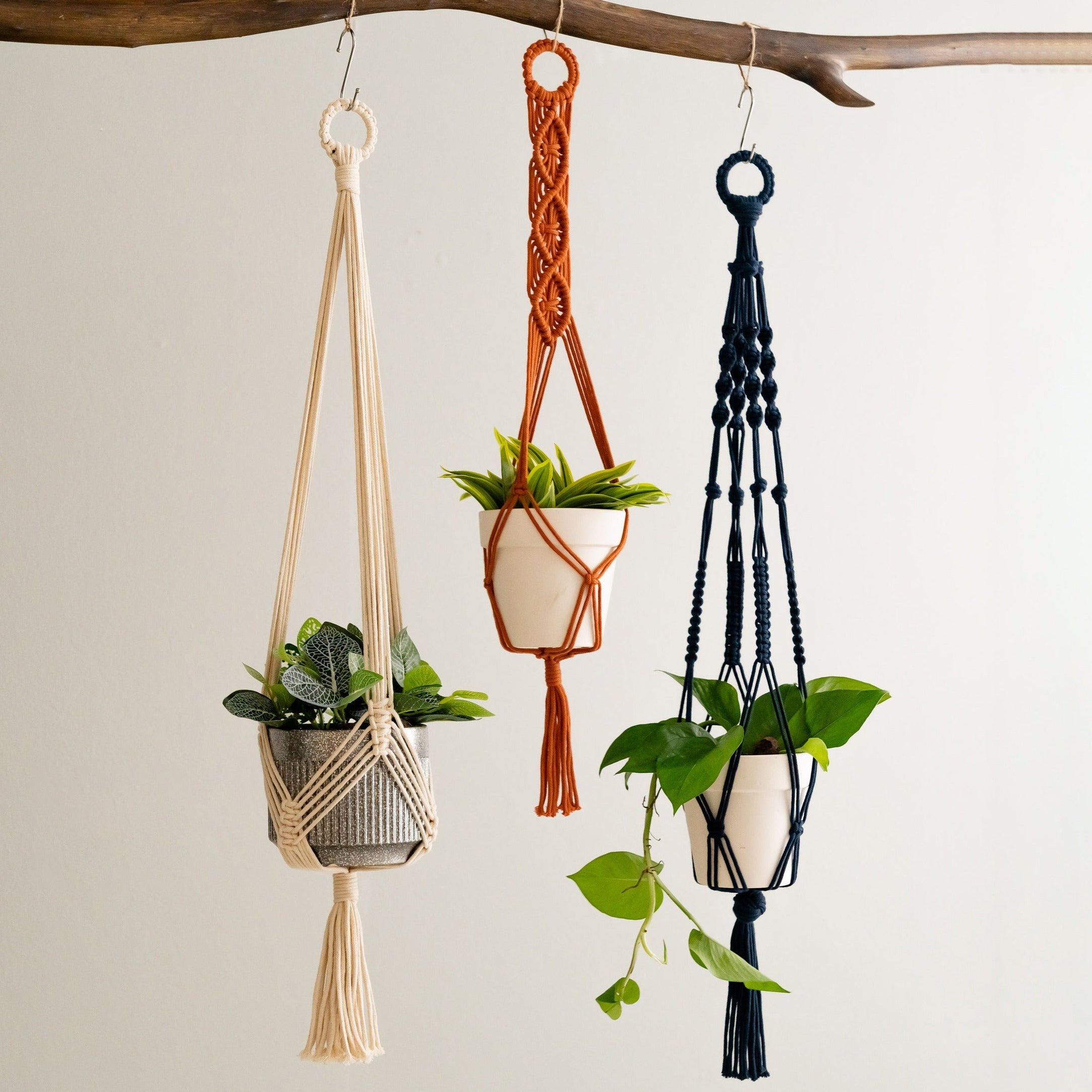 Macrame Plant Hanger macrame for plant hangers and home styling I68