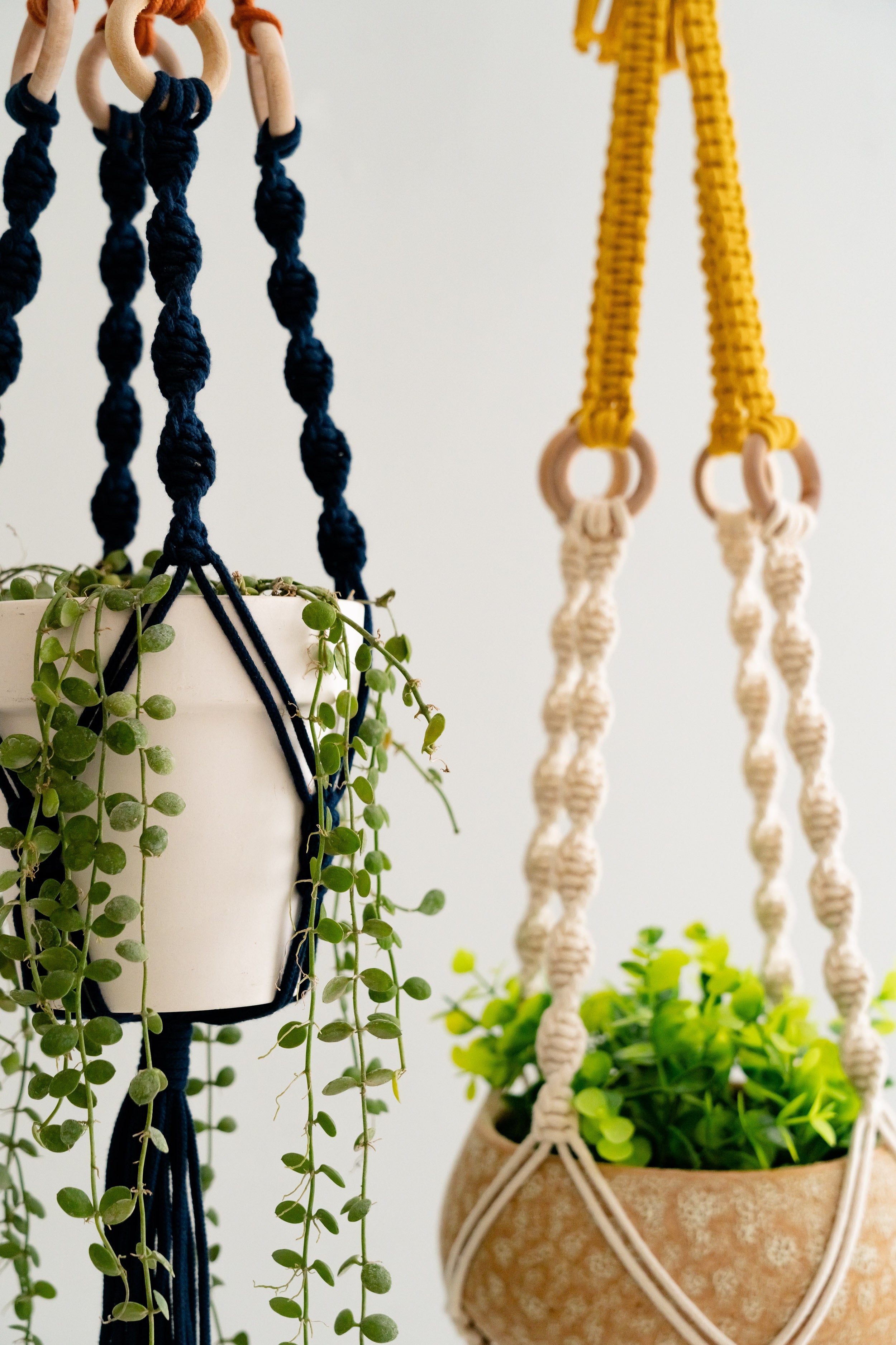 Macrame Plant Hanger with Tassel – Cotton Twist Knot Wall Decor I69