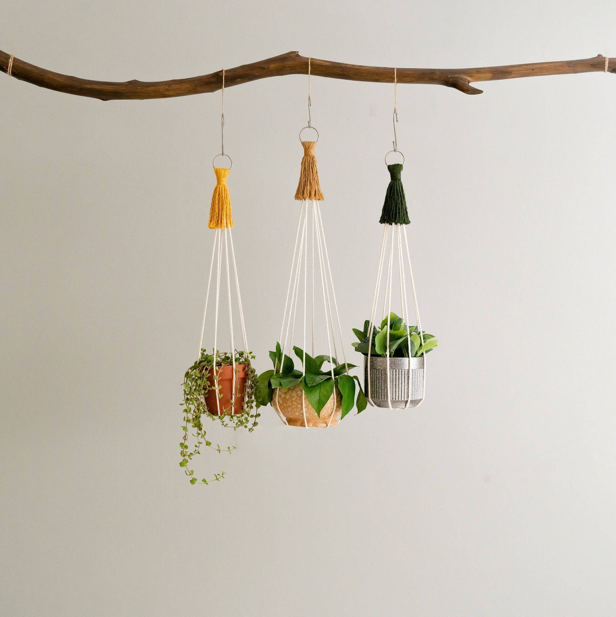 Macrame Plant Hanger – Cotton Cord Indoor Boho Decor I64