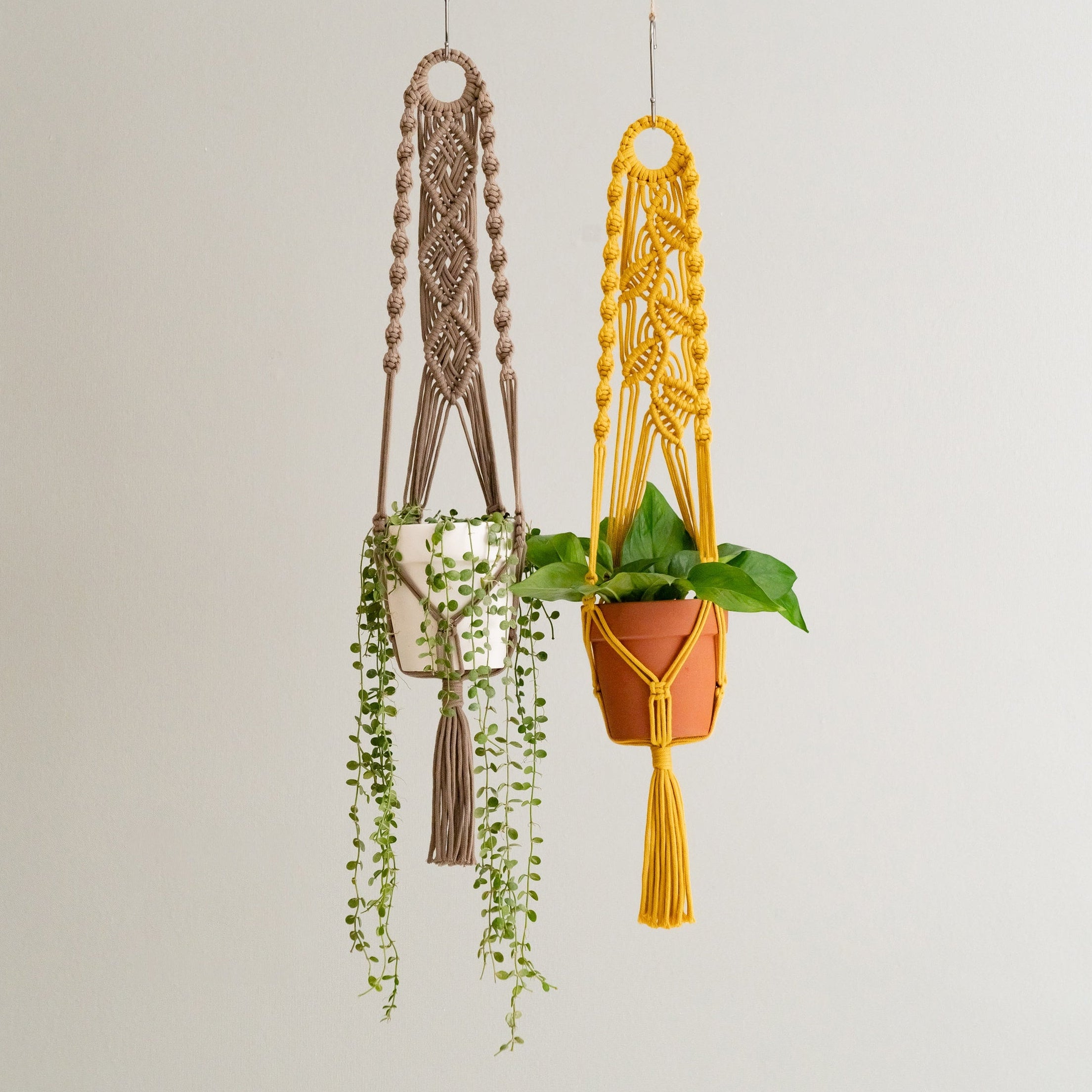 Macrame Plant Hanger macrame for plant hangers and display decor I71