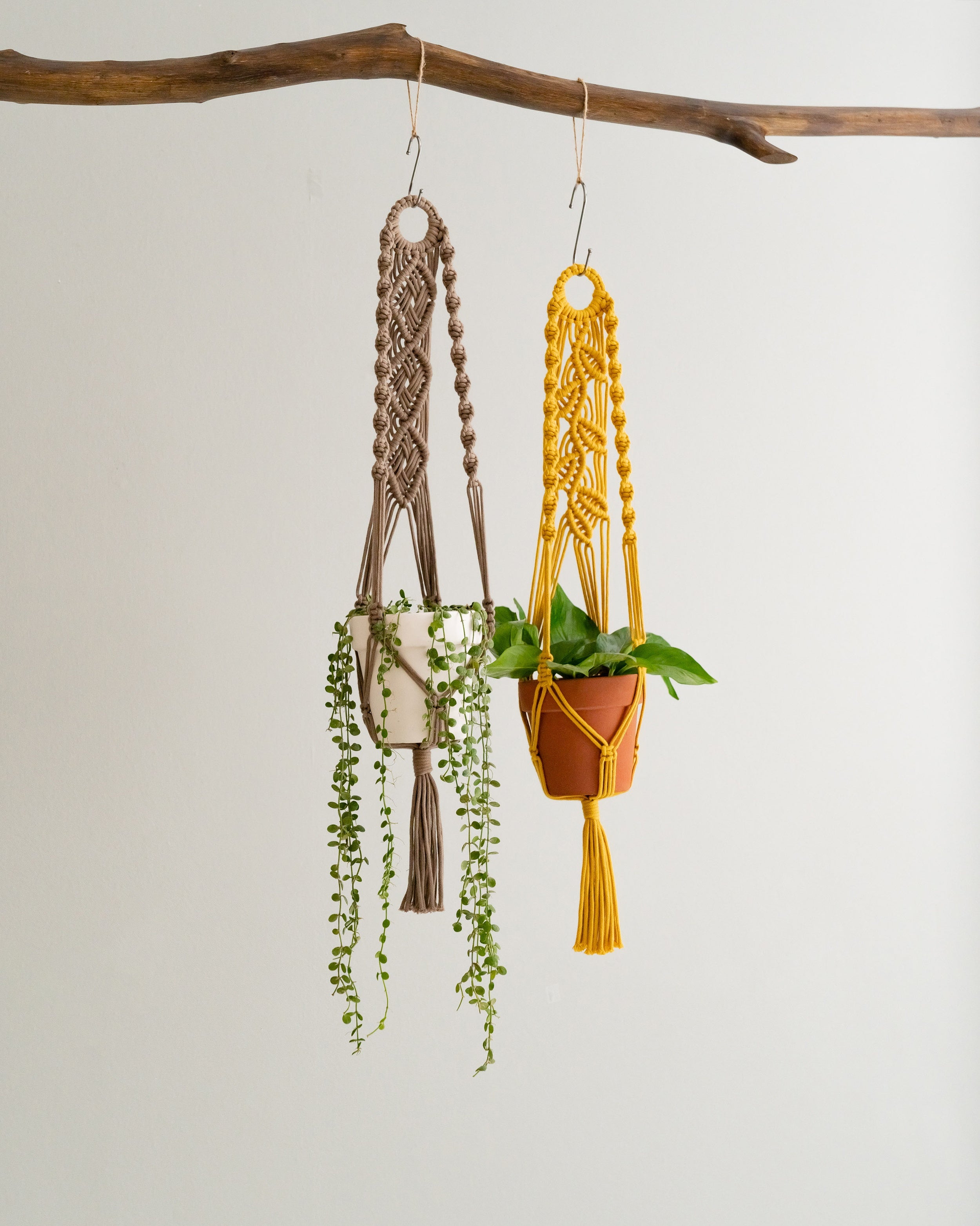 Best Hanging Planters – Rope Cotton Macrame Plant Hanger with Tassel I71