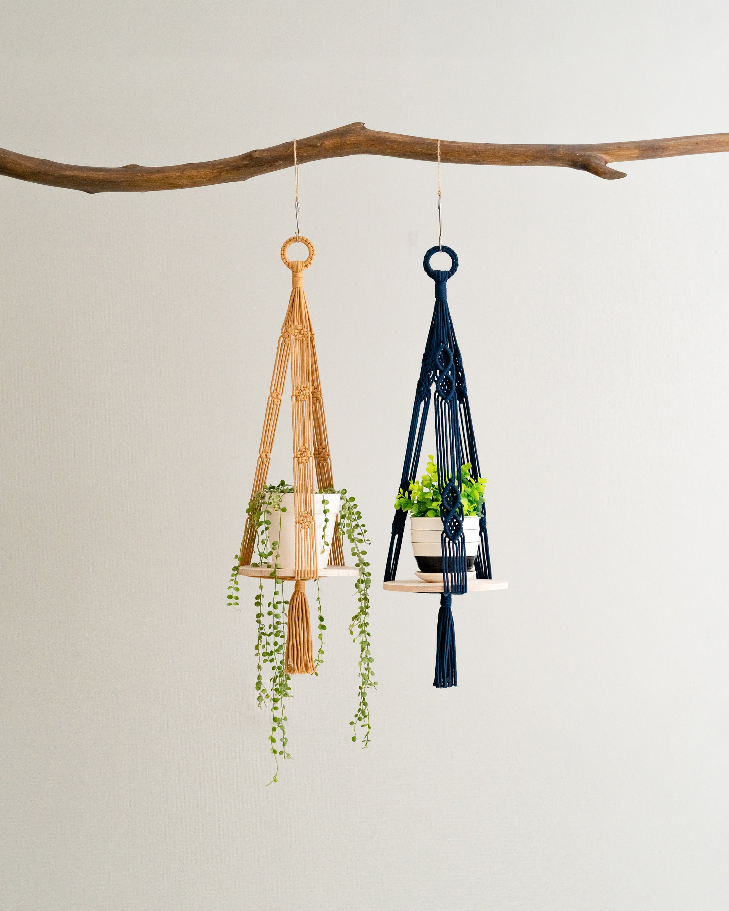 Boho Wooden Board Plant Hanger – Cotton Cord Indoor Plant Shelf S23