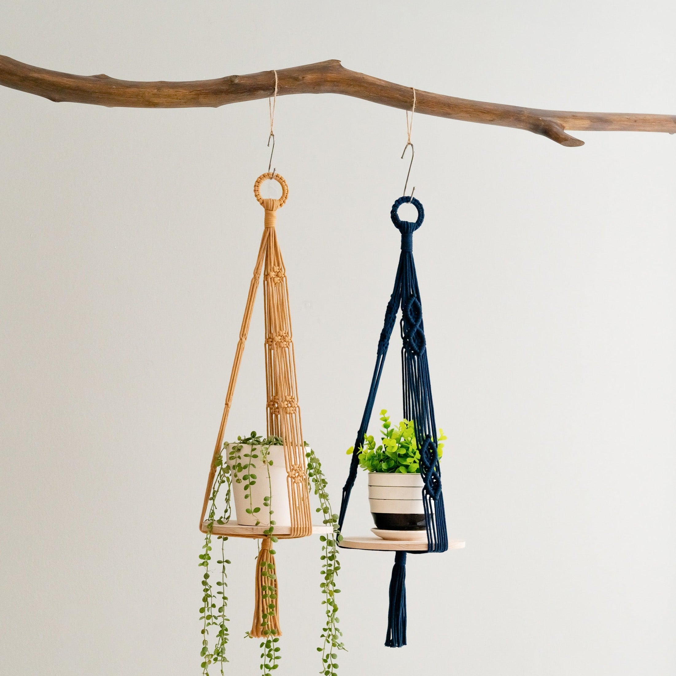 Boho Wooden Board Plant Hanger – Cotton Cord Indoor Plant Shelf S23