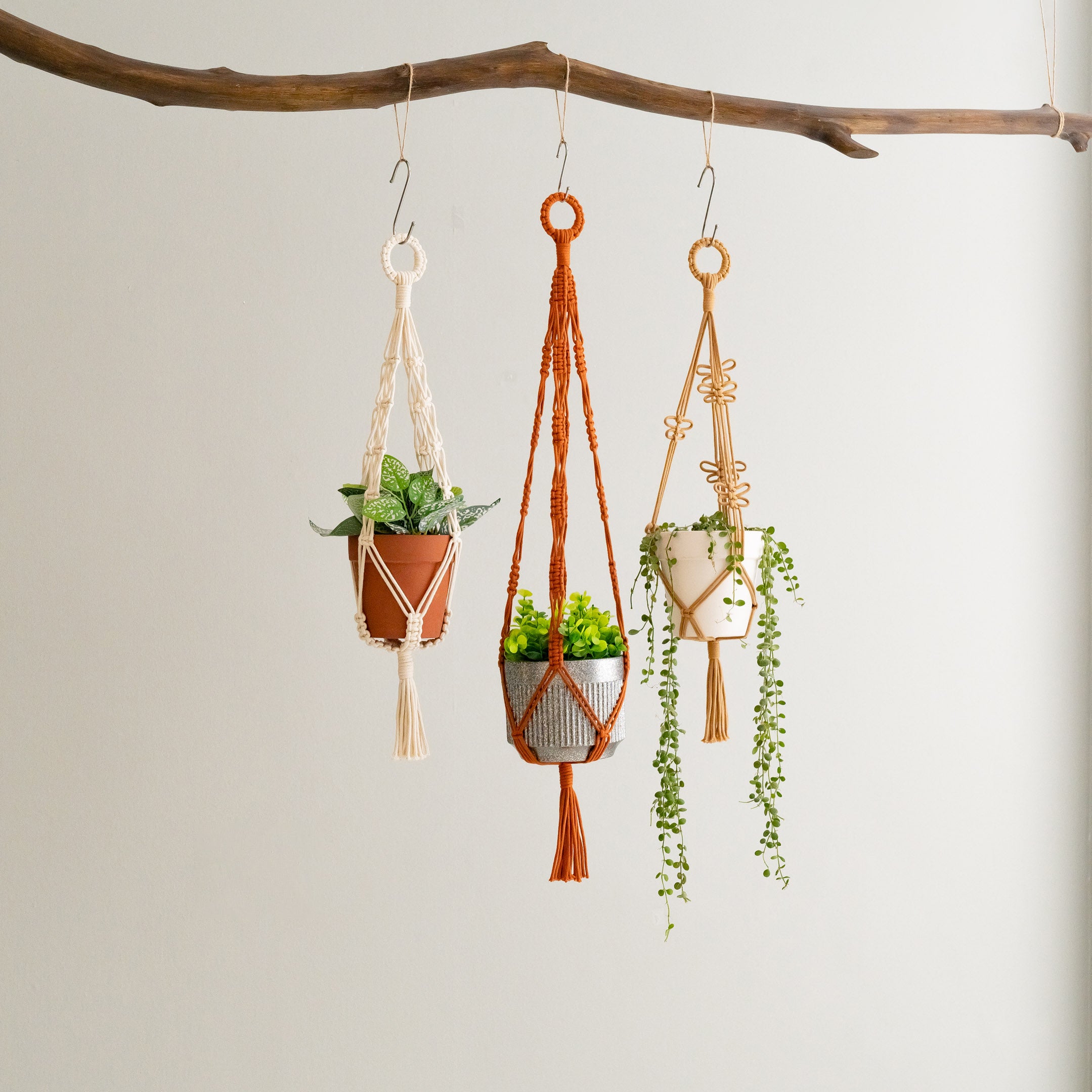 Macrame Hanging Plant Holder – Boho Cotton Rope Wall Hanger H75