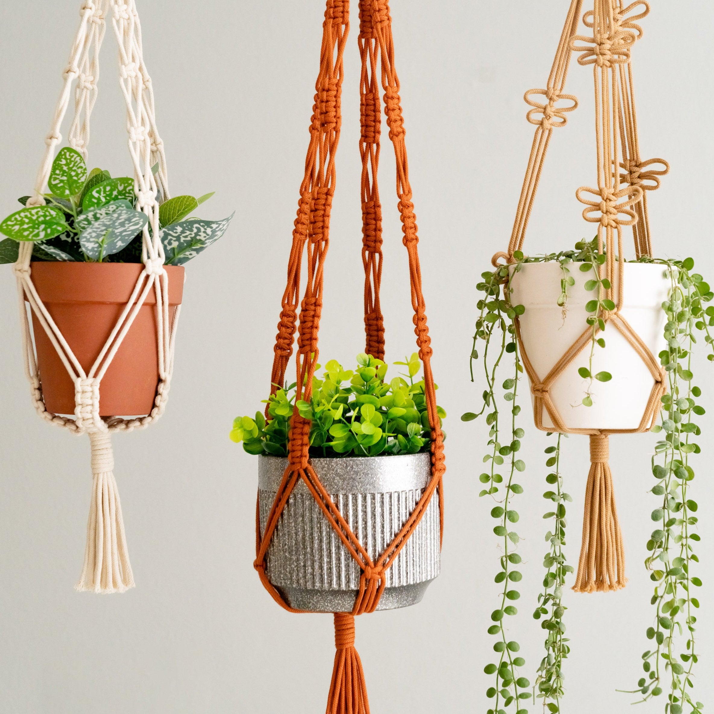 Macrame Hanging Plant Holder – Boho Cotton Rope Wall Hanger H75