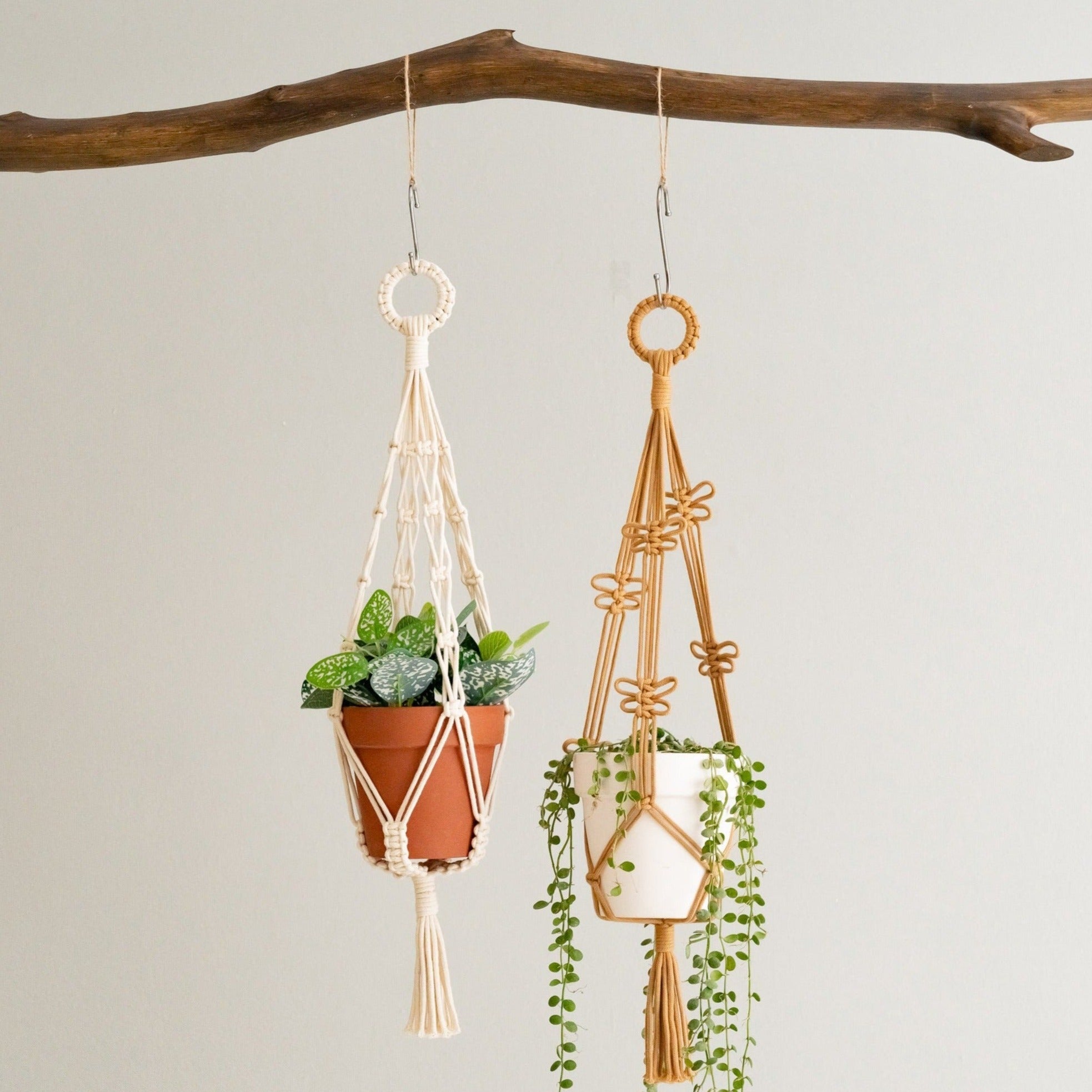 Macrame Hanging Plant Holder – Boho Cotton Rope Wall Hanger H75