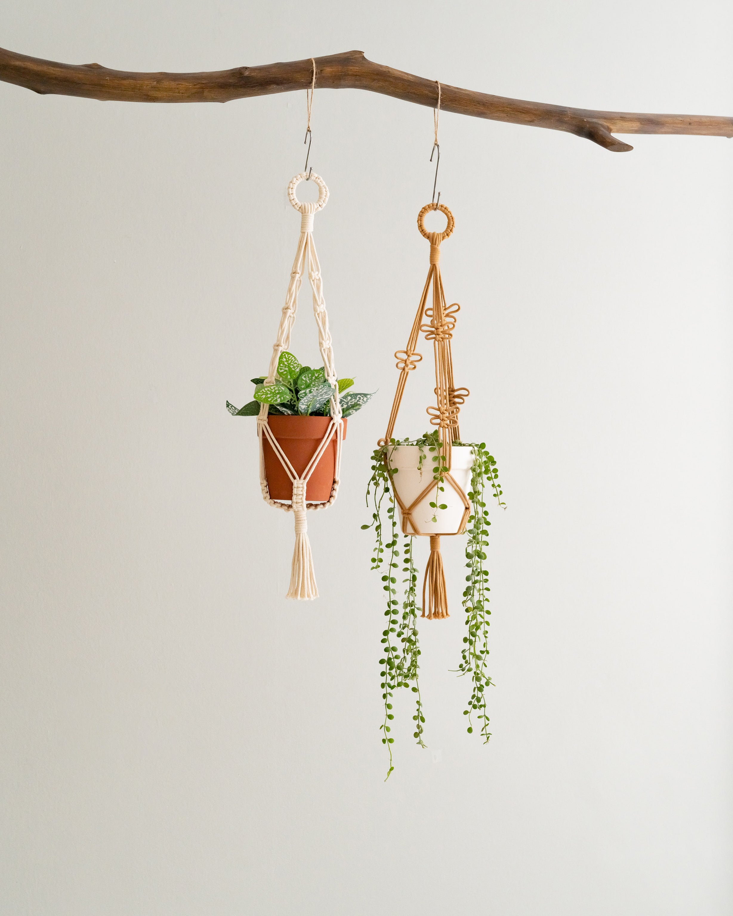 Macrame Hanging Plant Holder – Boho Cotton Rope Wall Hanger H75
