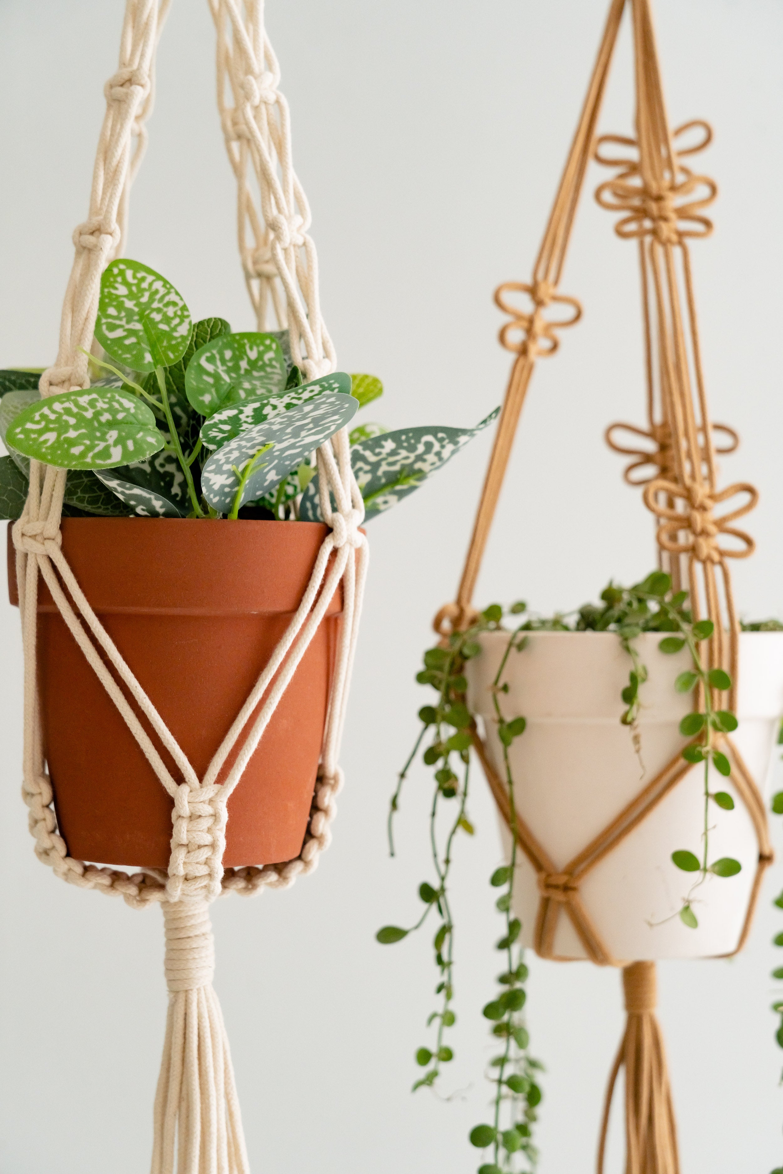 Macrame Hanging Plant Holder – Boho Cotton Rope Wall Hanger H75