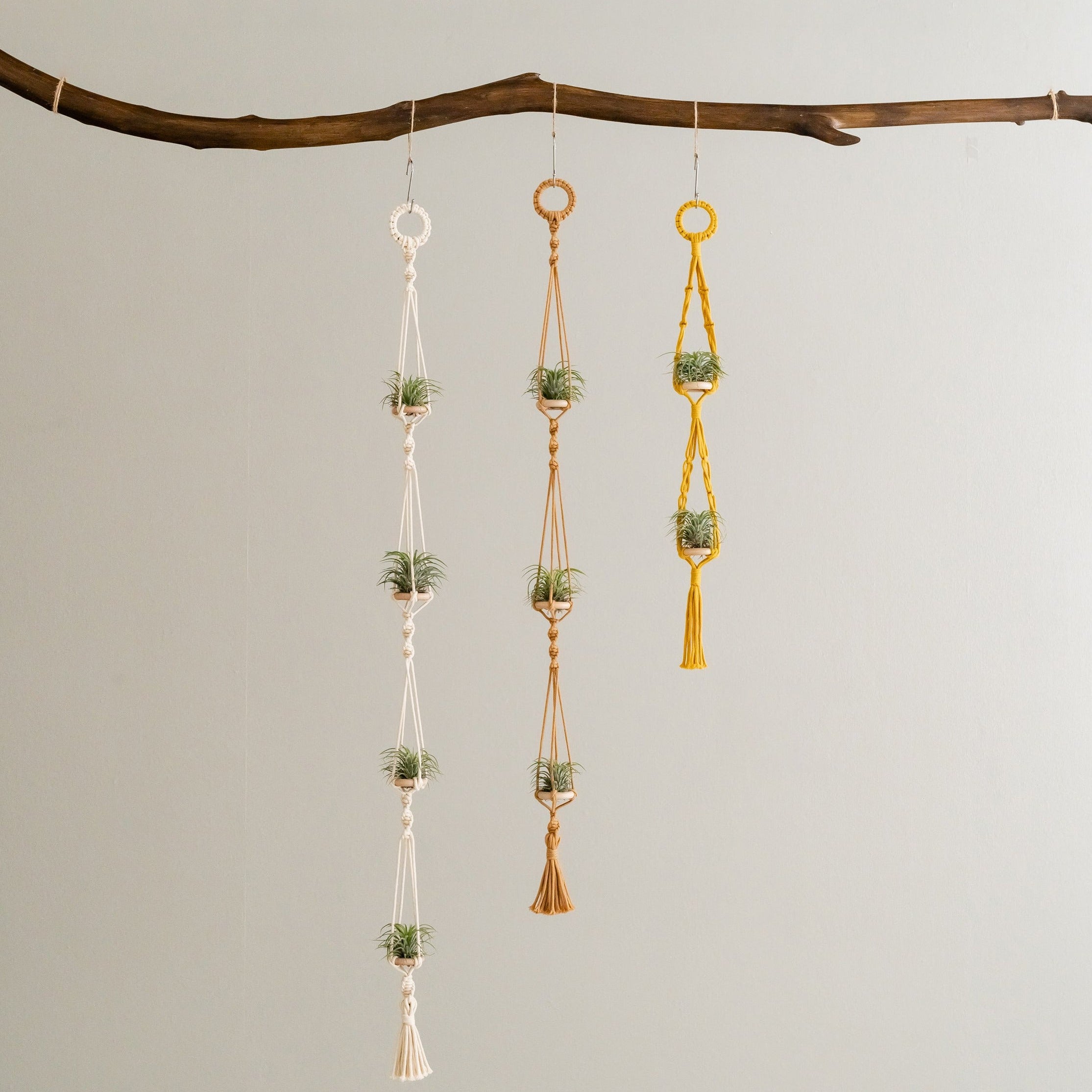 Macrame Air Plant Hanger – Cotton Minimalist Boho Wall Display I79