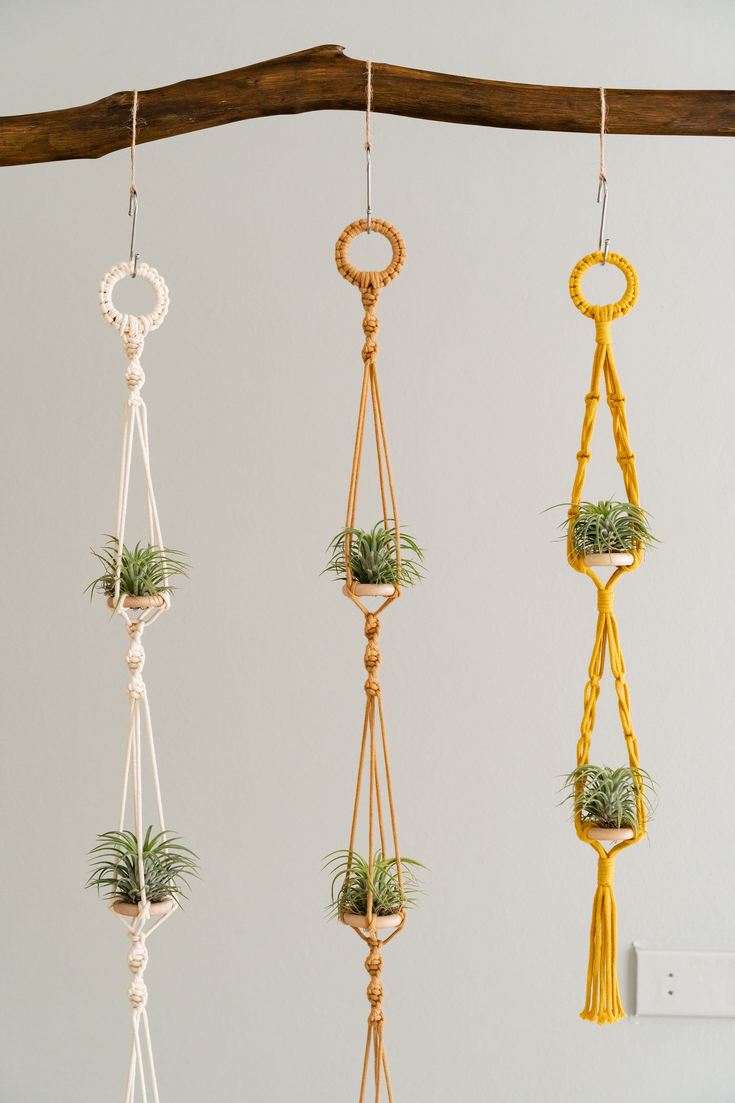 Macrame Air Plant Hanger – Cotton Minimalist Boho Wall Display I79