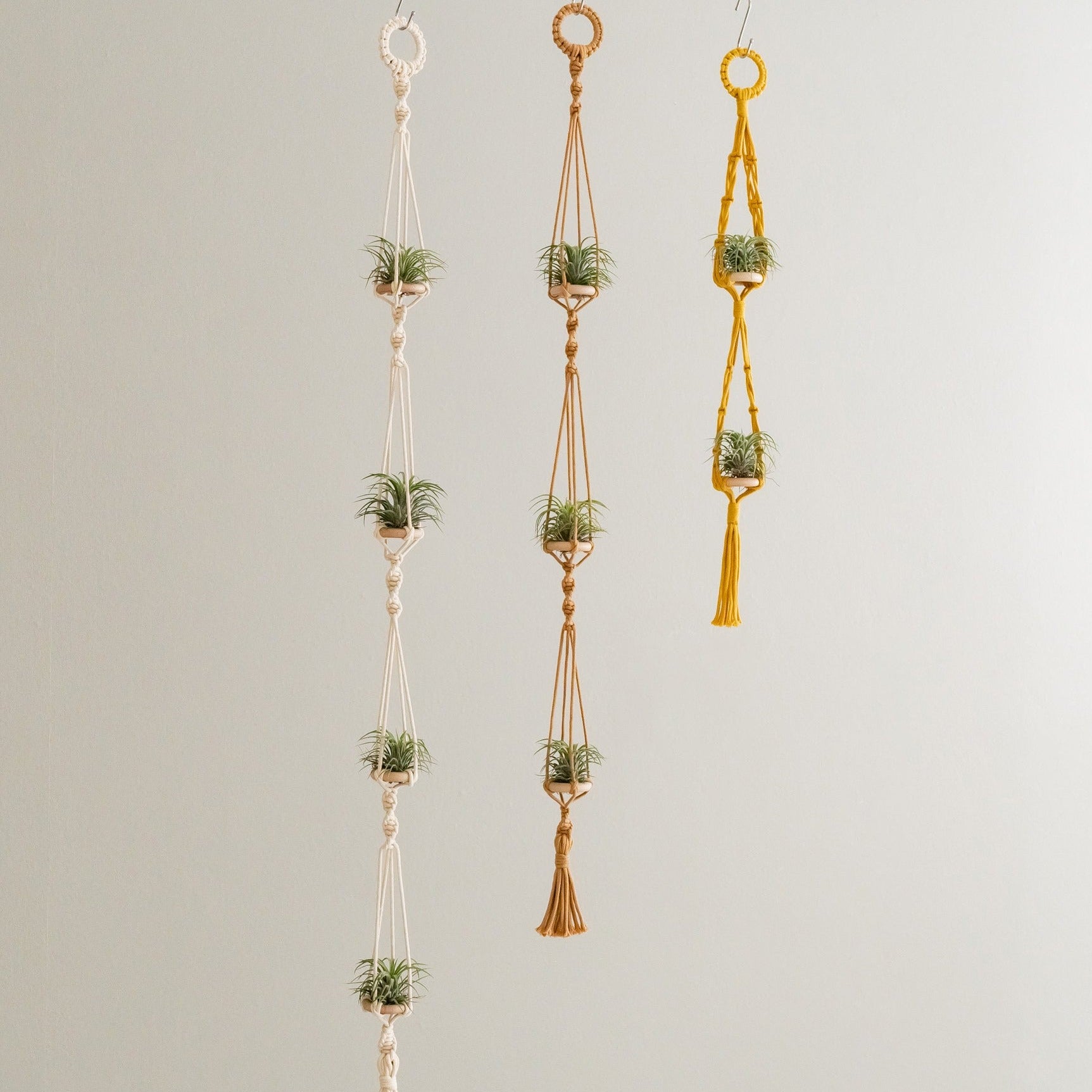 Macrame Air Plant Hanger – Cotton Minimalist Boho Wall Display I79