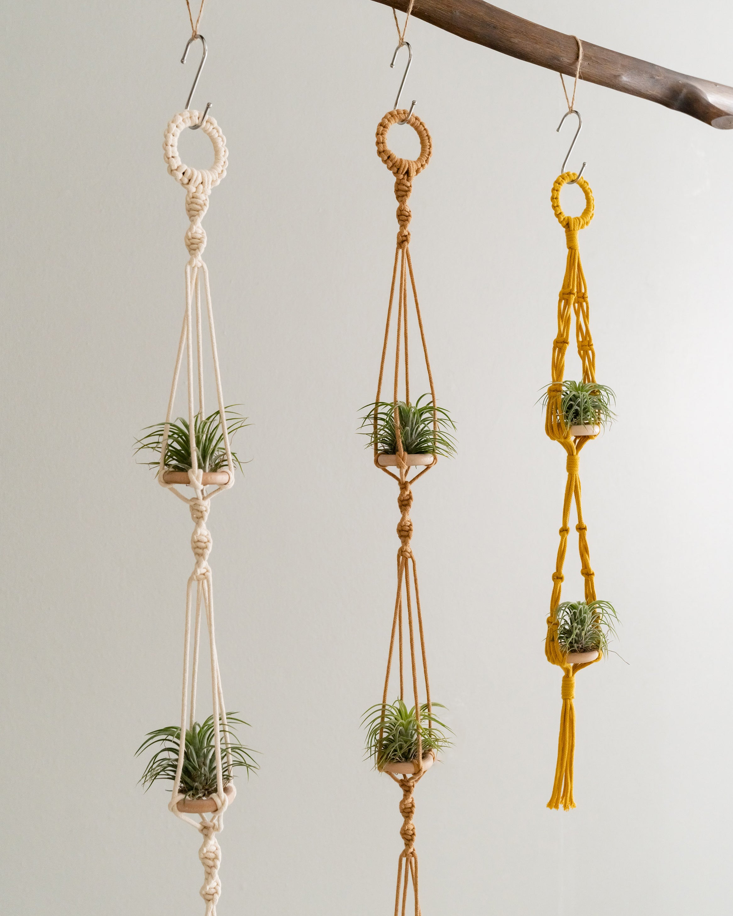 Macrame Air Plant Hanger – Cotton Minimalist Boho Wall Display I79