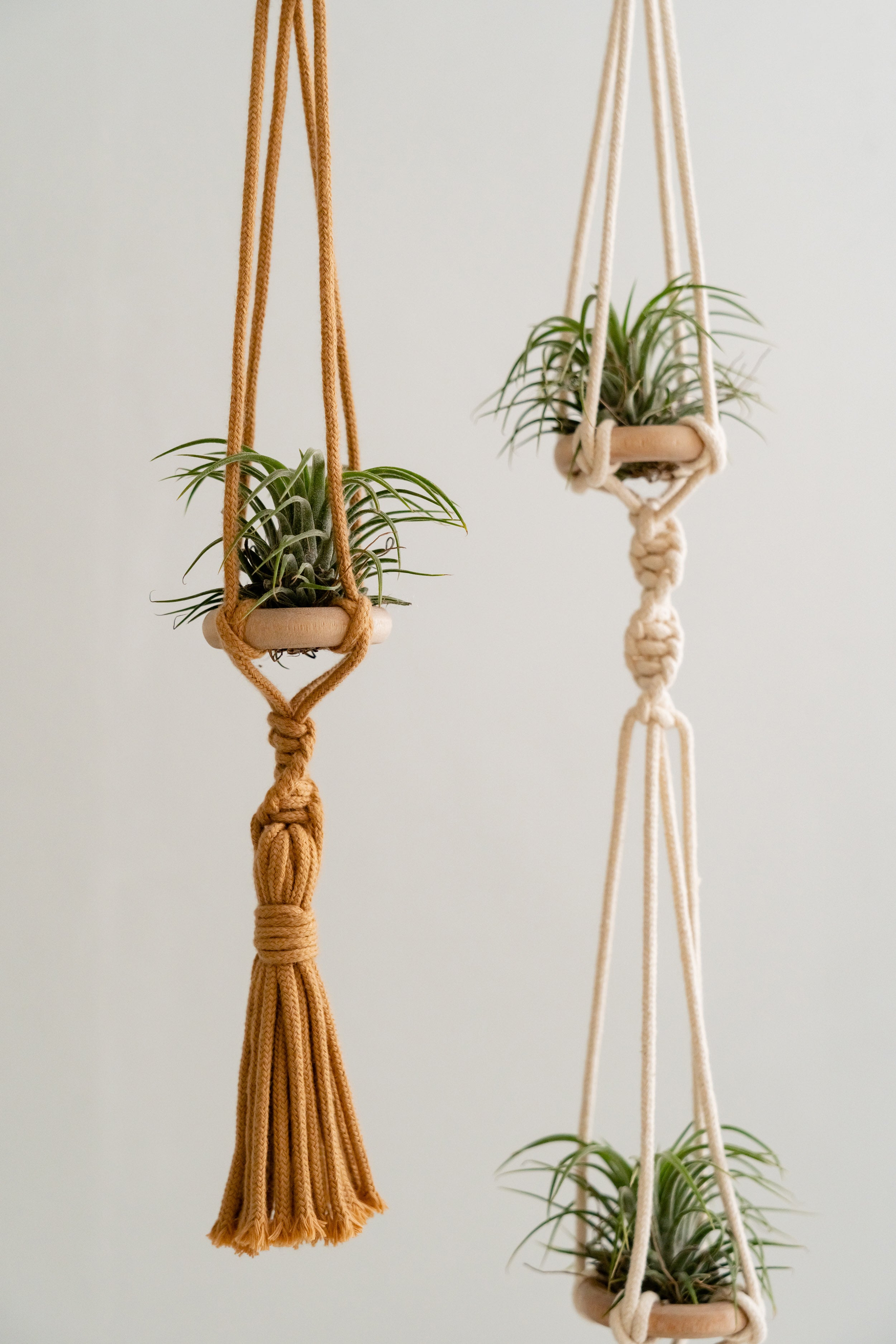 Macrame Air Plant Hanger – Cotton Minimalist Boho Wall Display I79