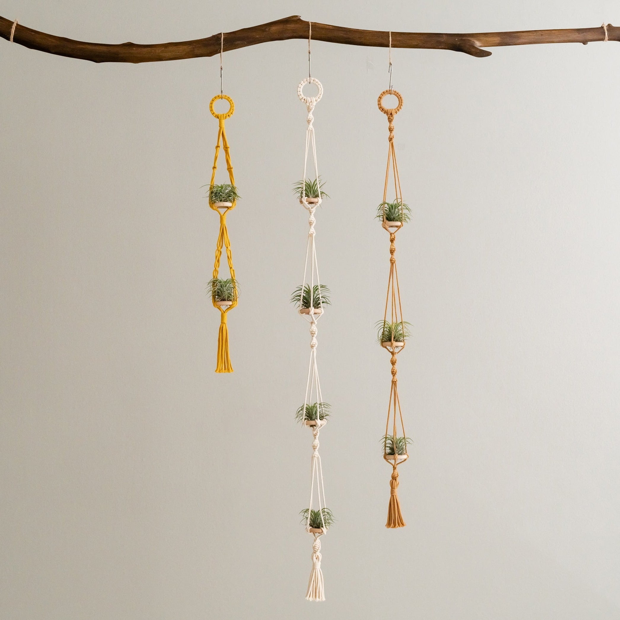 Macrame Air Plant Hanger – Cotton Minimalist Boho Wall Display I79