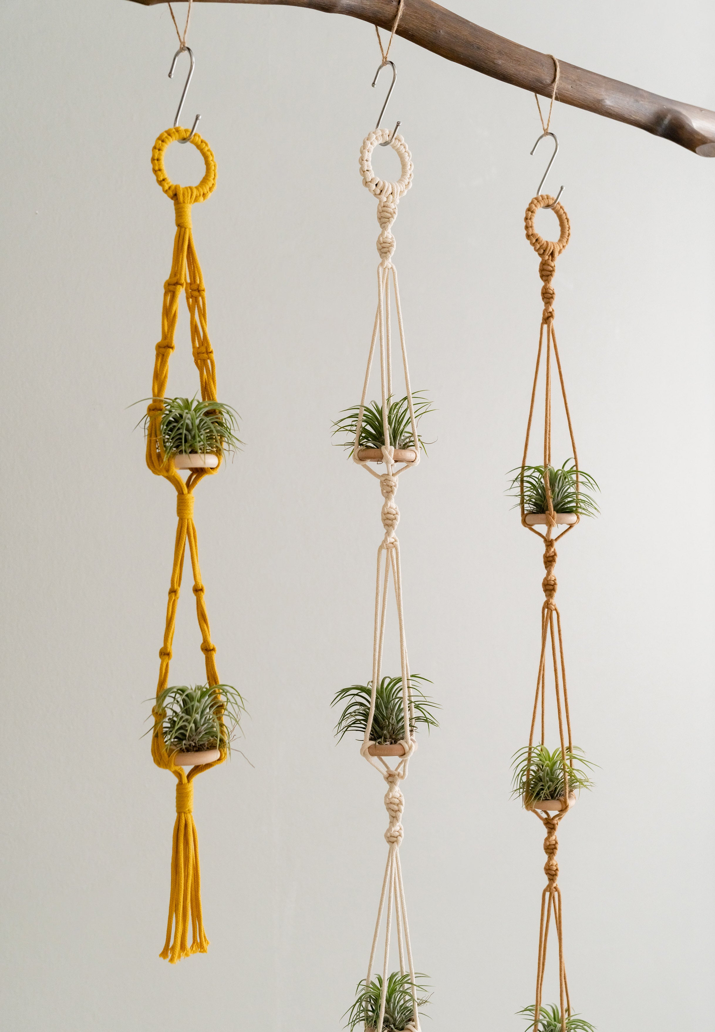 Macrame Air Plant Hanger – Cotton Minimalist Boho Wall Display I79