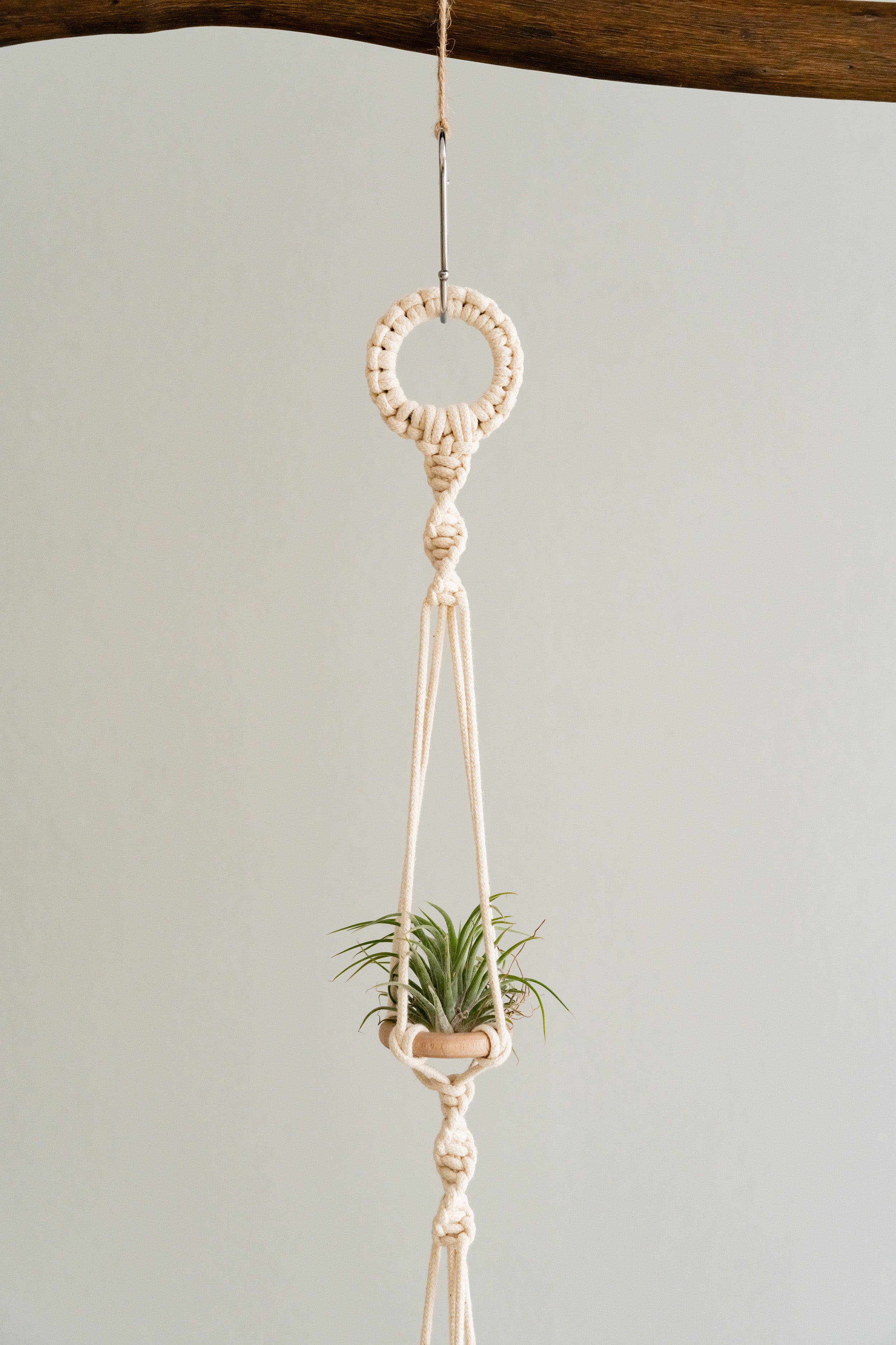 Macrame Air Plant Hanger – Cotton Minimalist Boho Wall Display I79