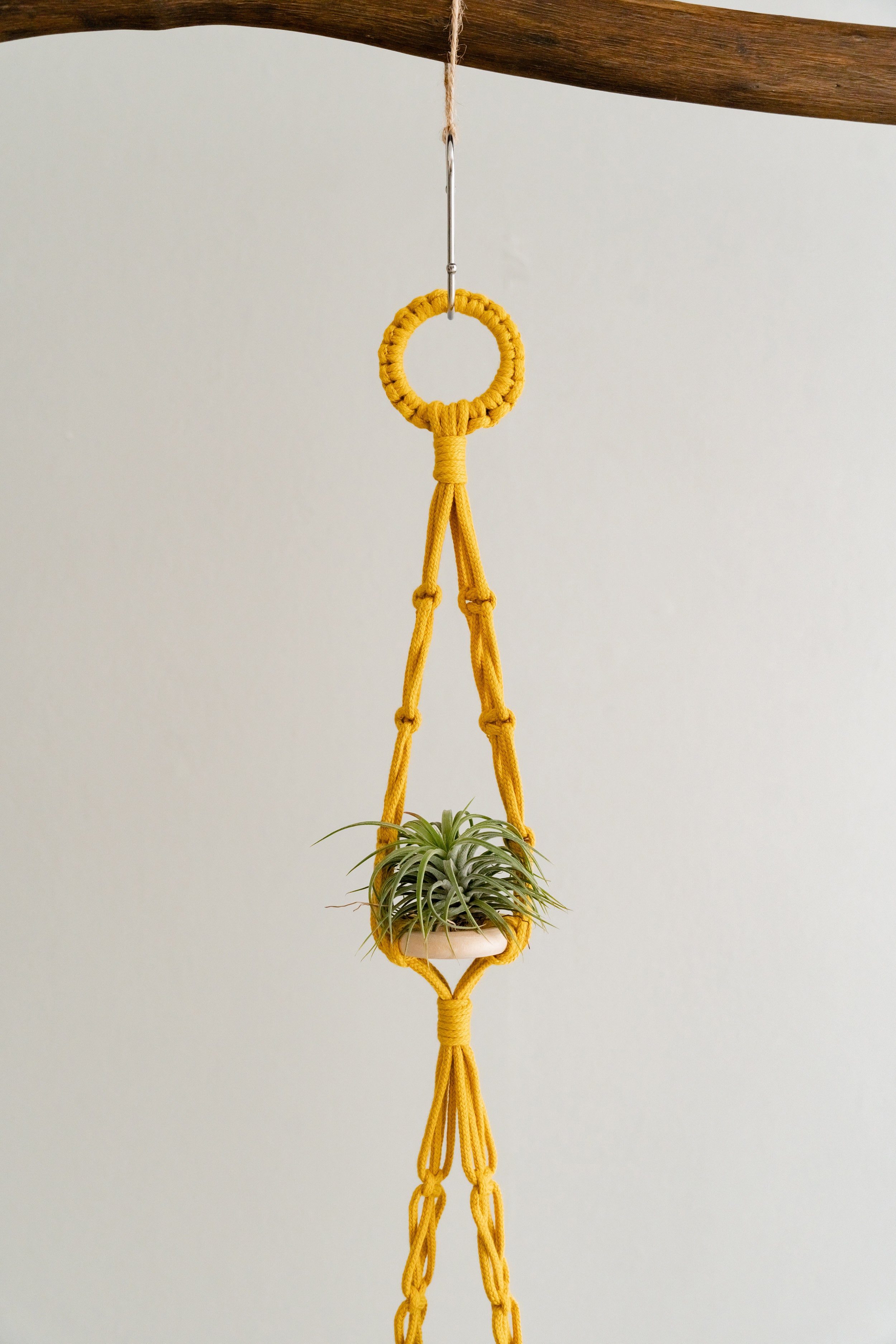 Macrame Air Plant Hanger – Cotton Minimalist Boho Wall Display I79