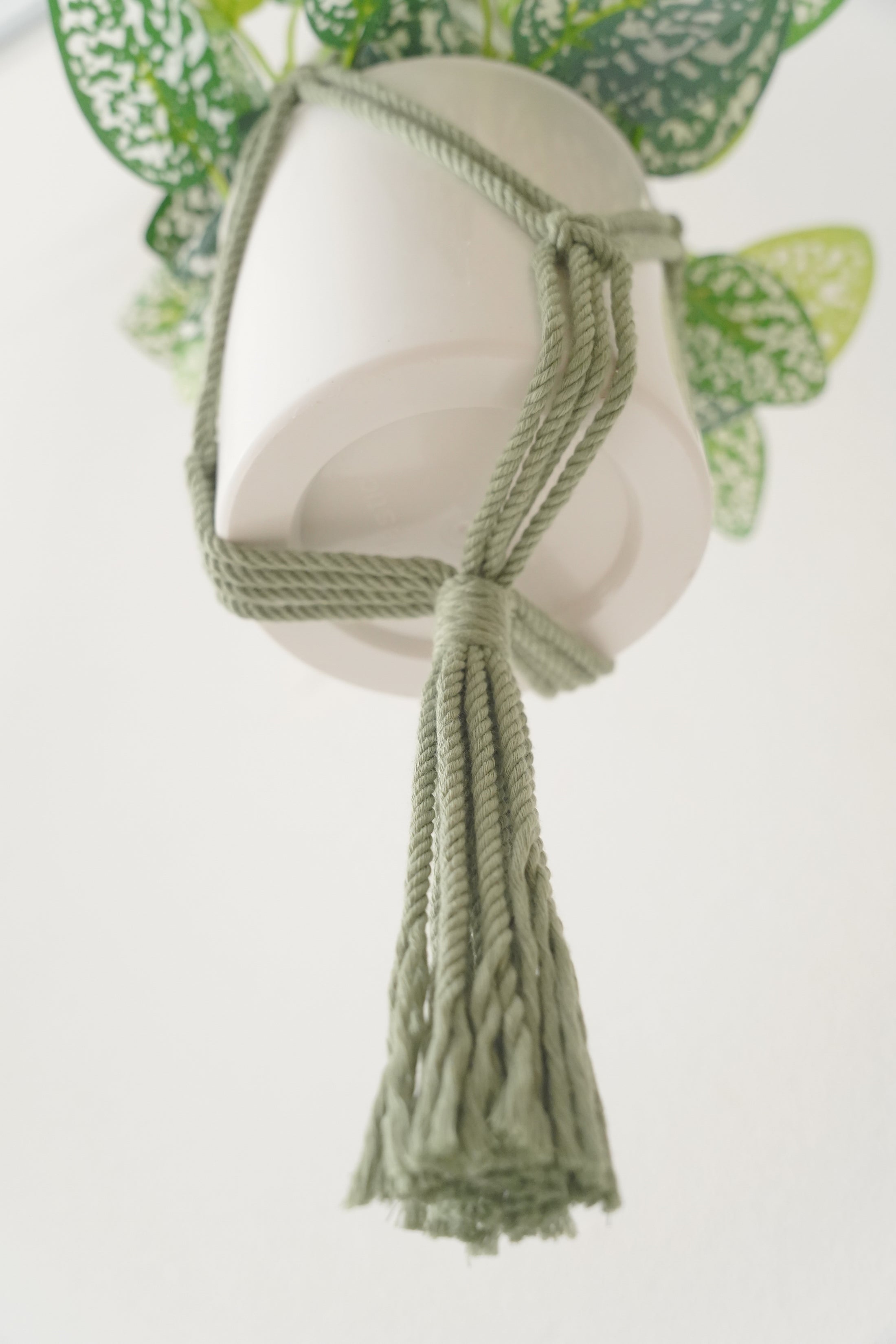 Macrame Owl Plant Hanger for Boho Wall Planter Decor H85