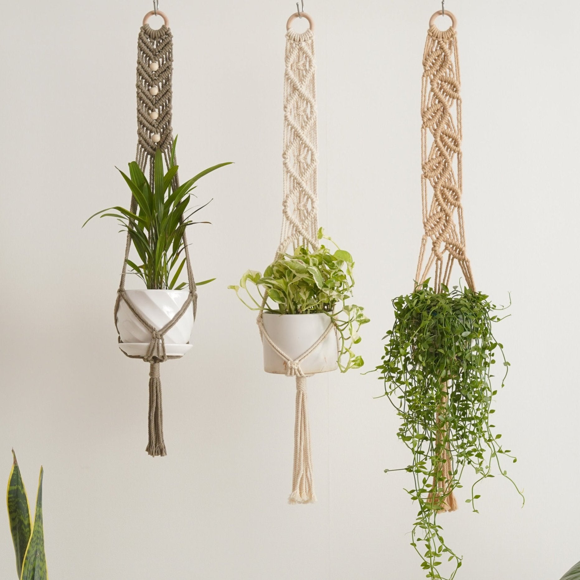 Boho Macrame Plant Hanger for Wall Decor and Stylish Plant Display