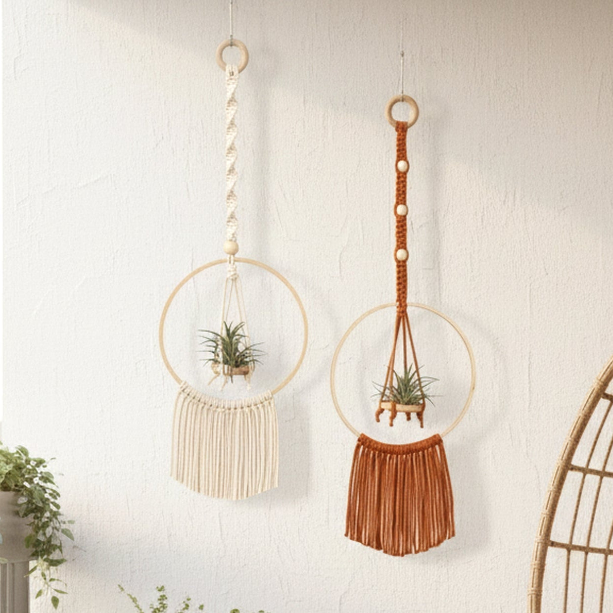 Macrame Air Plant Hanger macrame for wall decor and air plants I88
