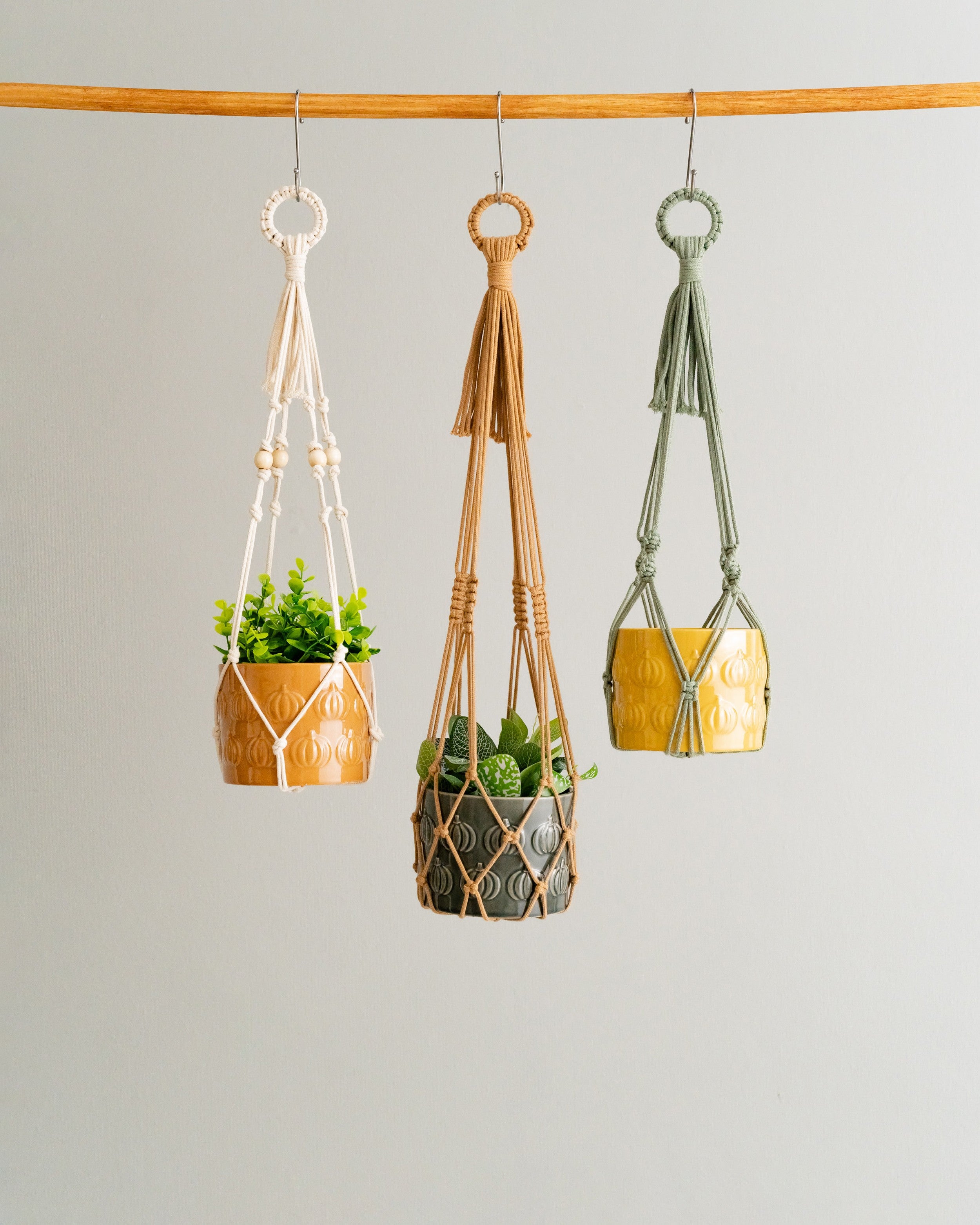Macrame Plant Hanger for Stylish Indoor Greenery