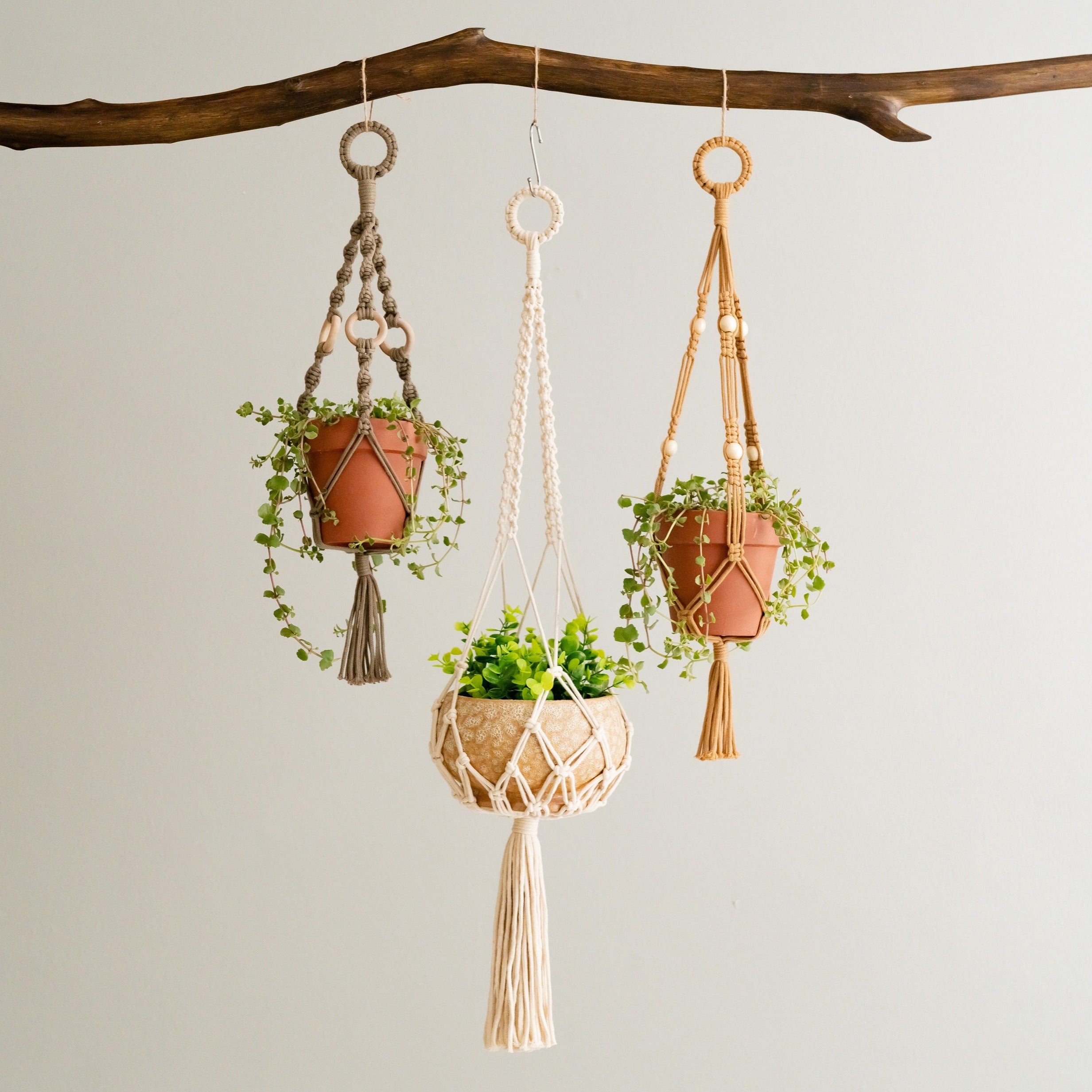 Macrame Tassel Plant Hanger for Boho Home Decor