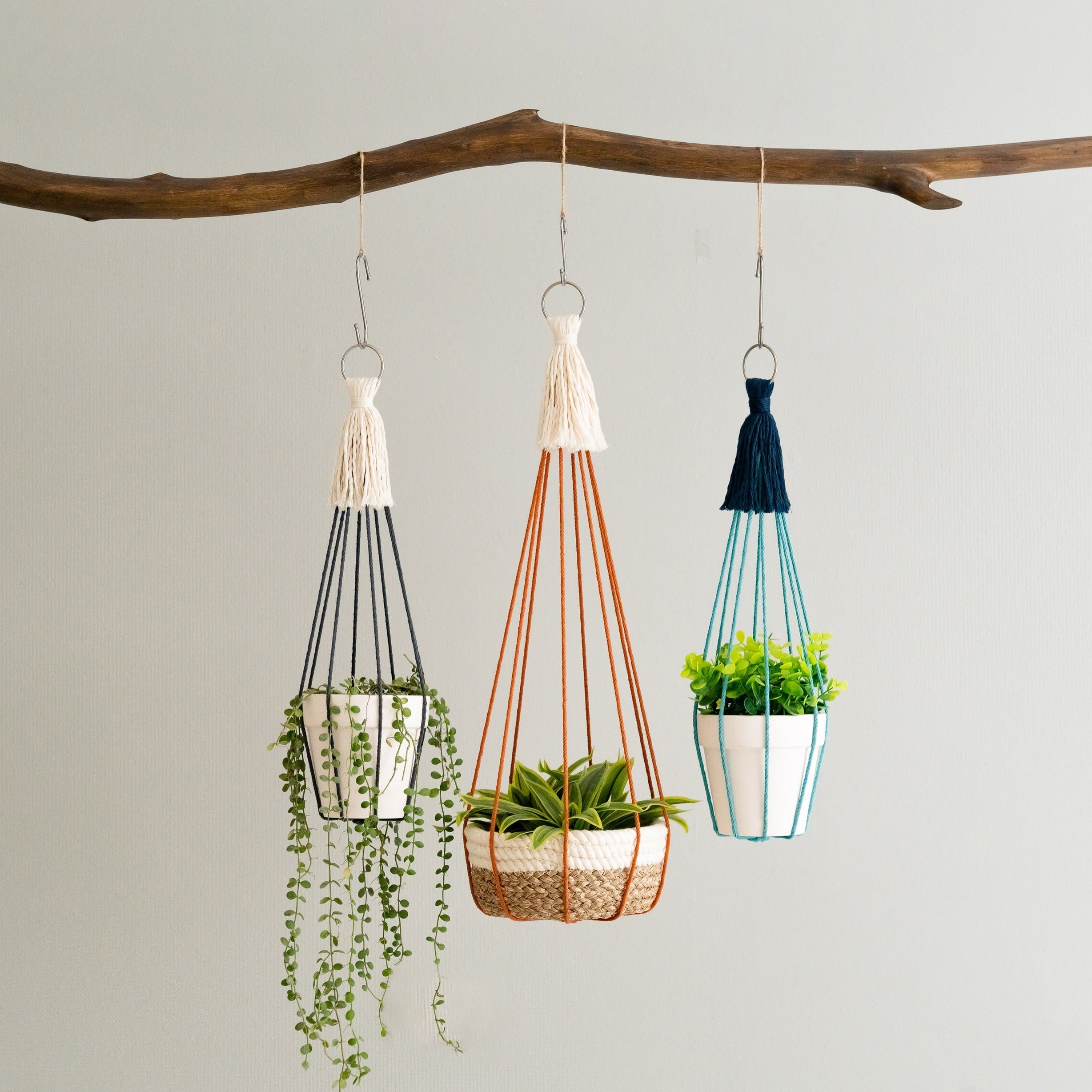 Minimalist Macrame Plant Hanger Without Tassels for Stylish Indoor and Balcony Decor