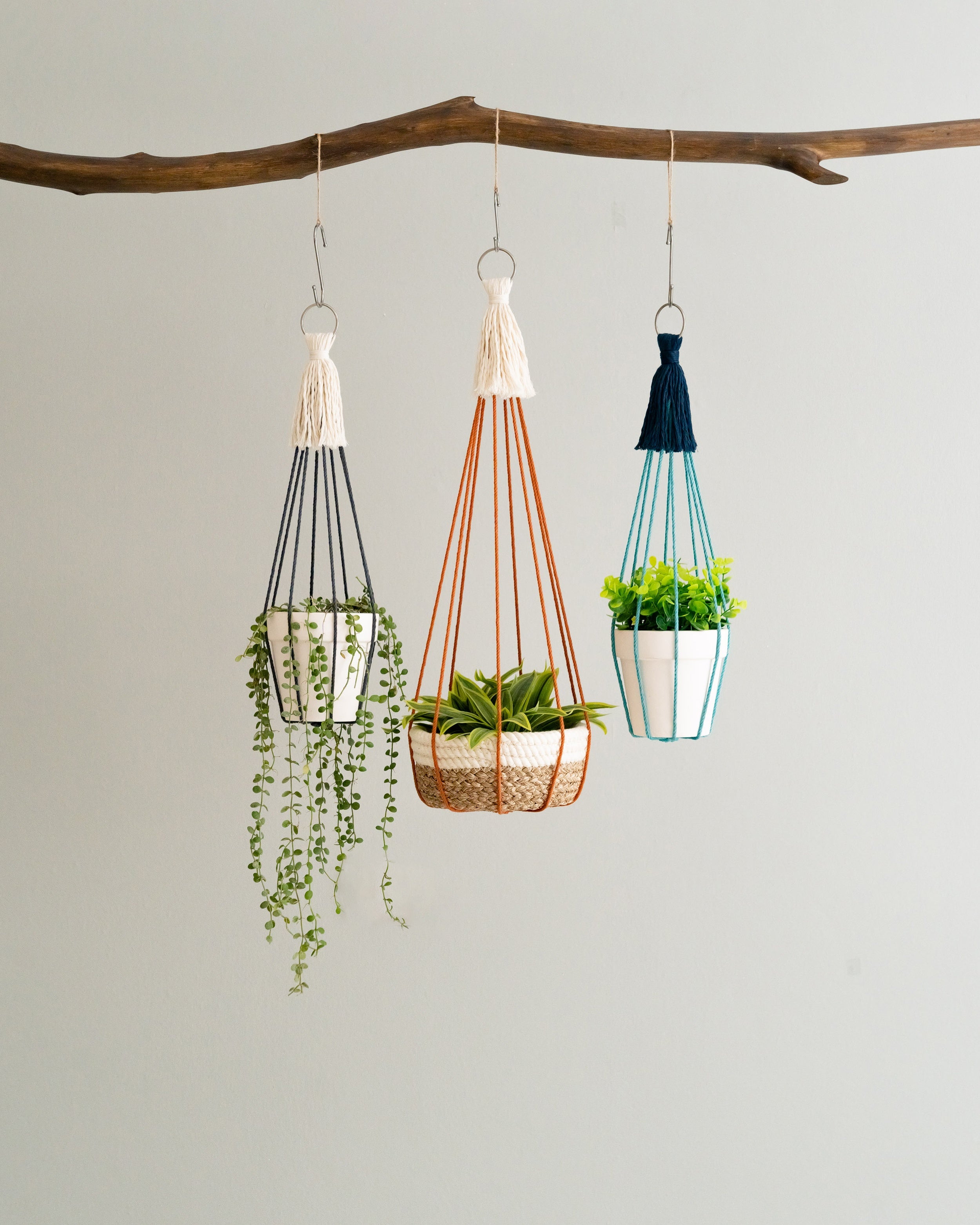 Tassel Free Plant Hanger For Minimalist Indoor and Balcony Decor