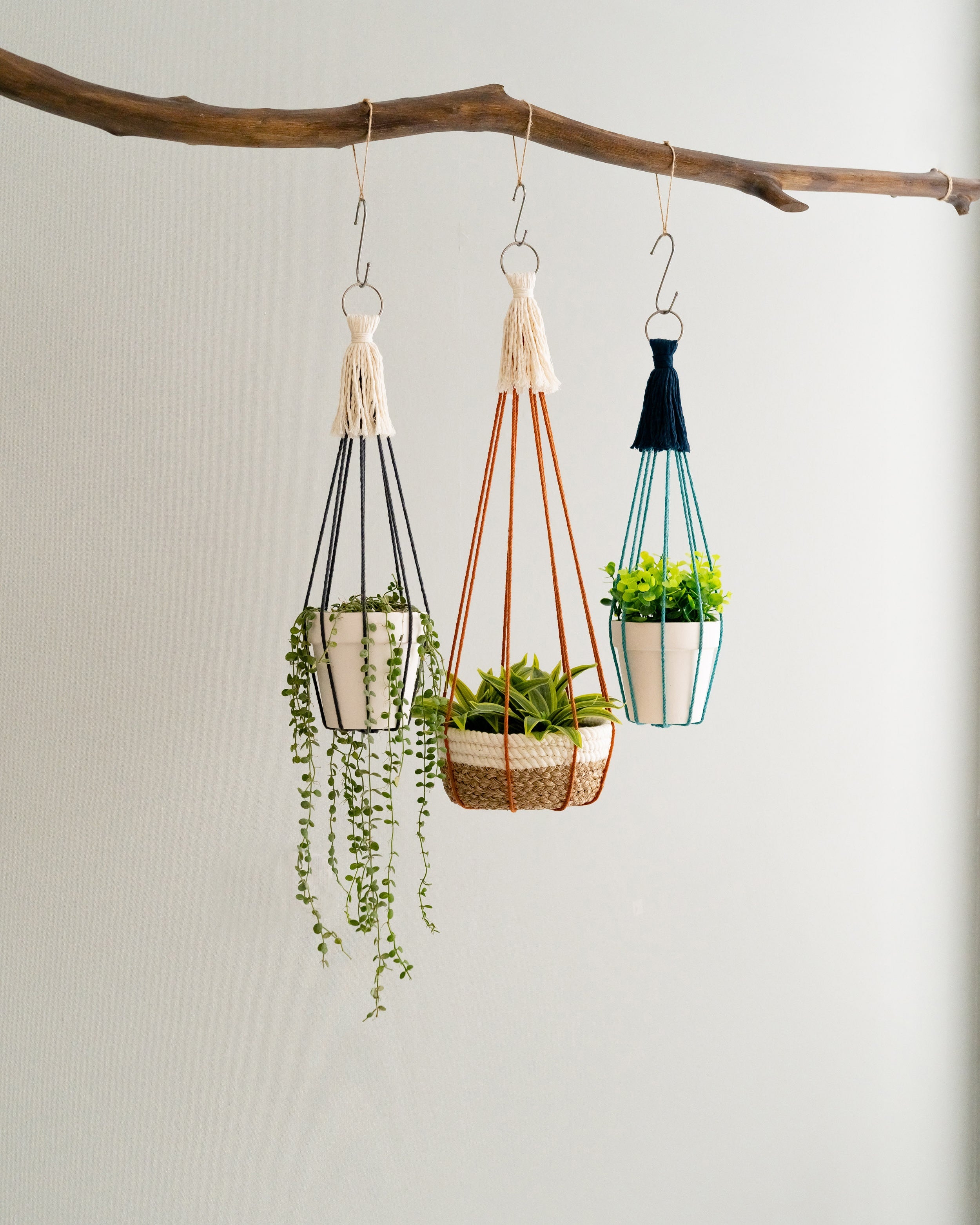 Tassel Free Plant Hanger For Minimalist Indoor and Balcony Decor