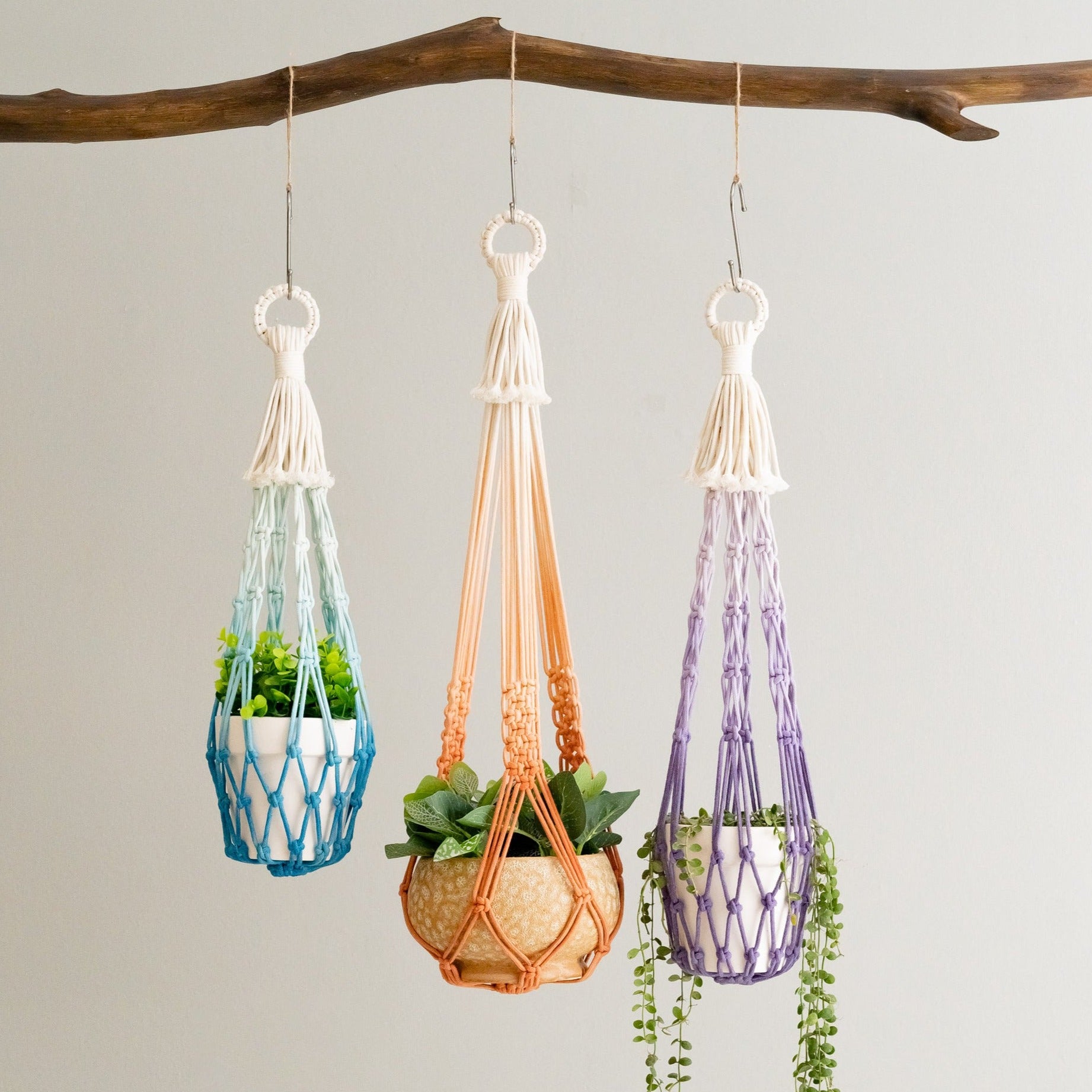 Dip-Dyed Macrame Plant Holder for Stylish Indoor and Garden Decor