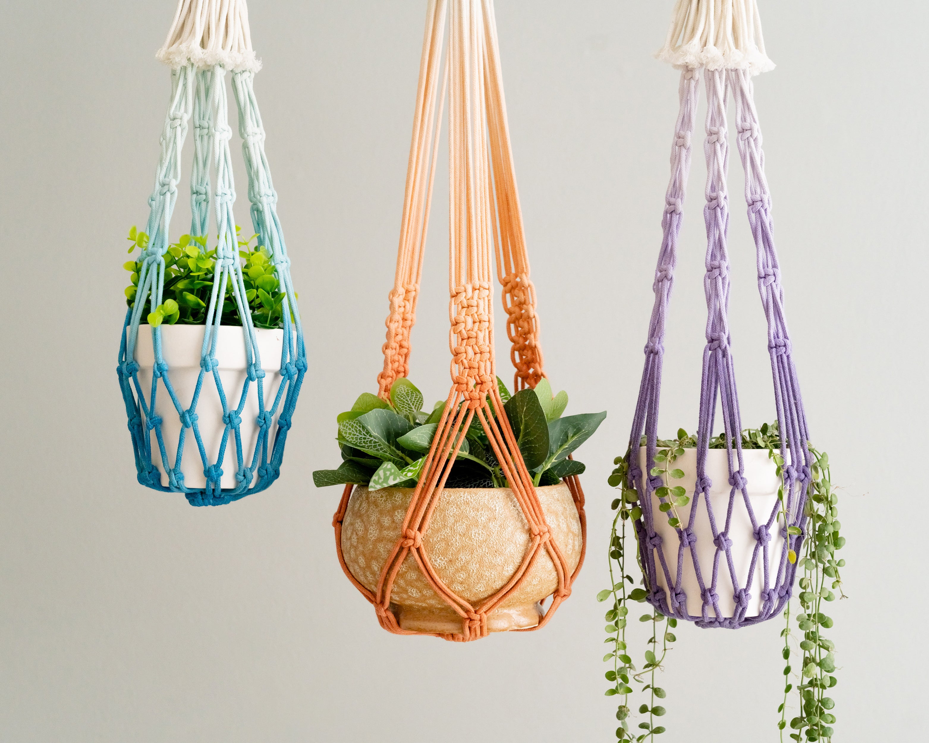 Ombre Plant Holder for Stylish Indoor and Garden Decor