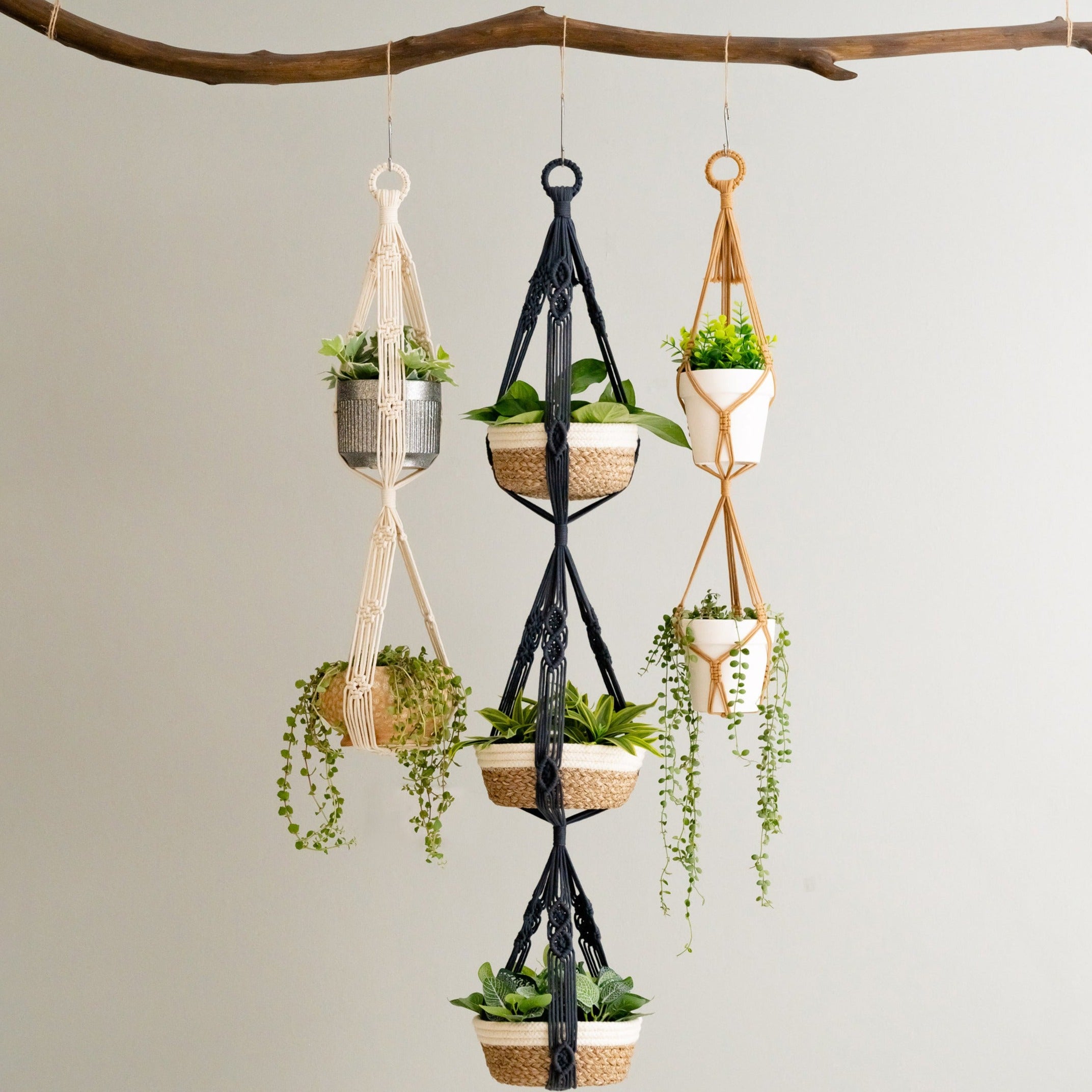 Minimalist Macrame Plant Holder for Chic Indoor Plant Displays