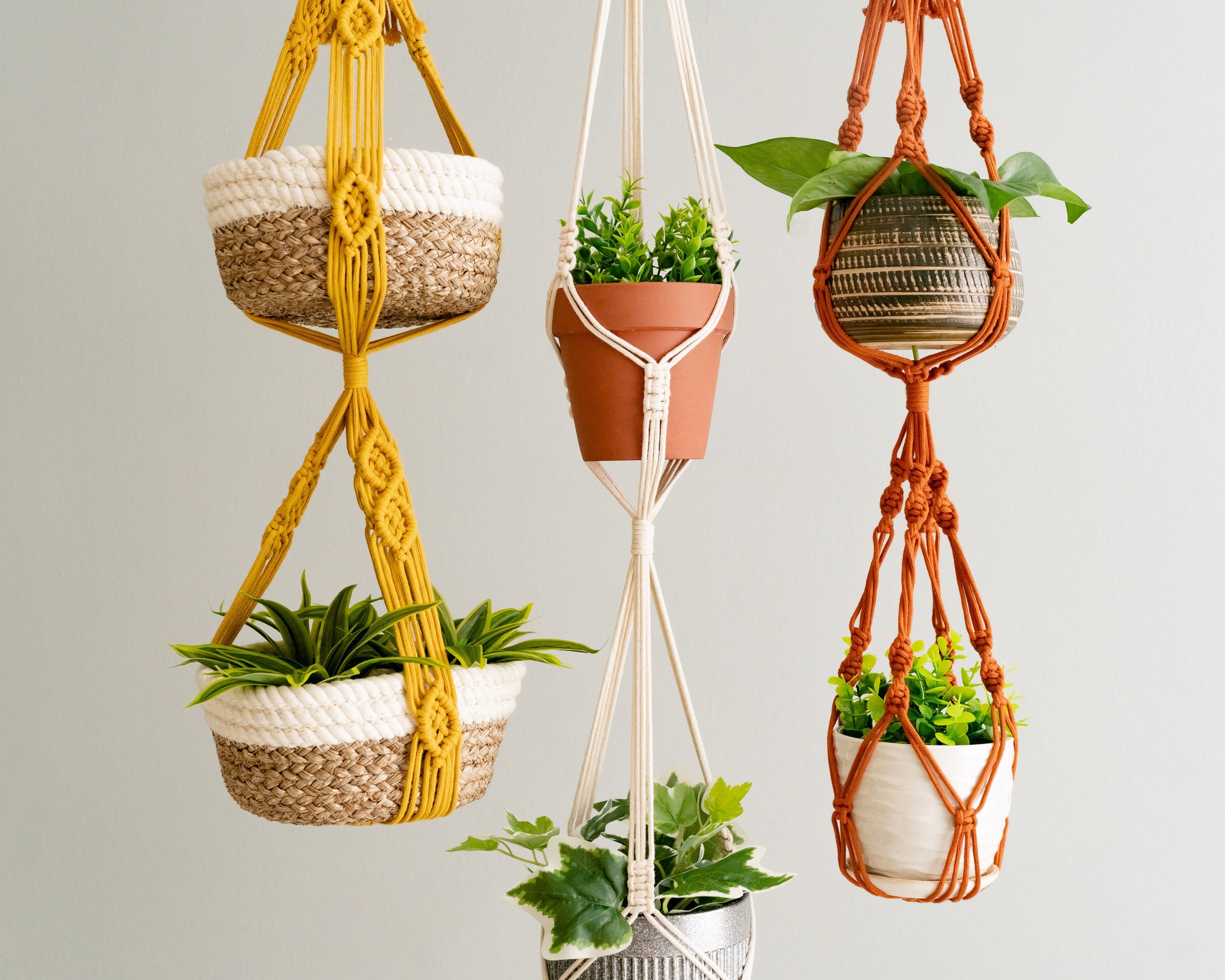No Tail Macrame Plant Holder for Stylish Indoor Planters