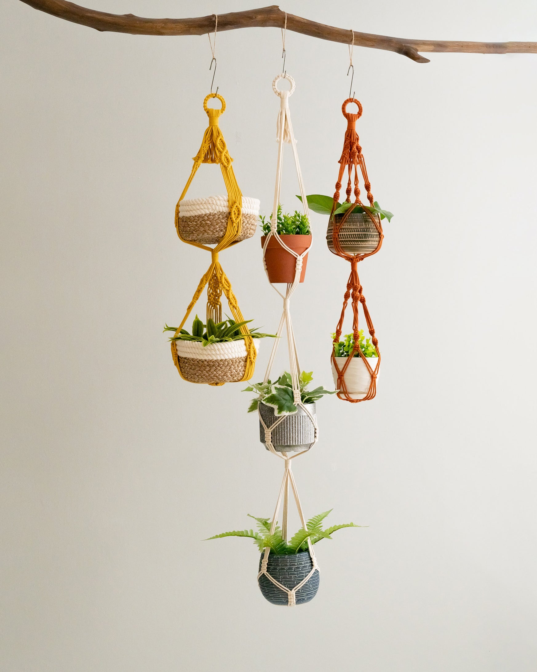 No Tail Macrame Plant Holder for Stylish Indoor Planters